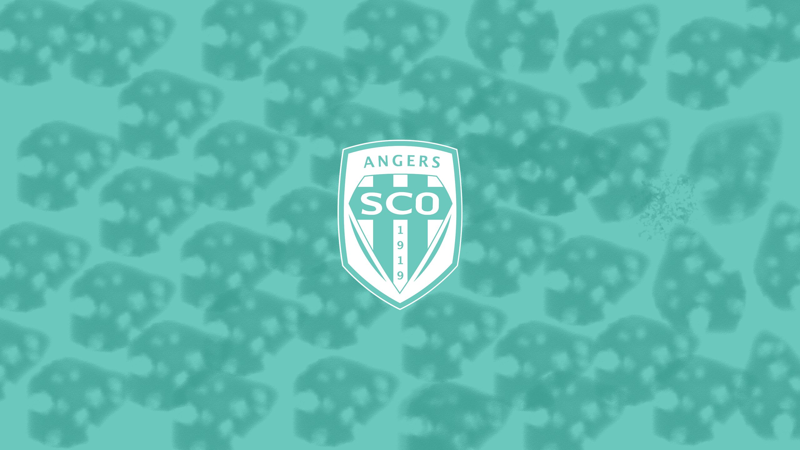 Handy-Wallpaper Sport, Fußball, Logo, Emblem, Angers Sco kostenlos herunterladen.