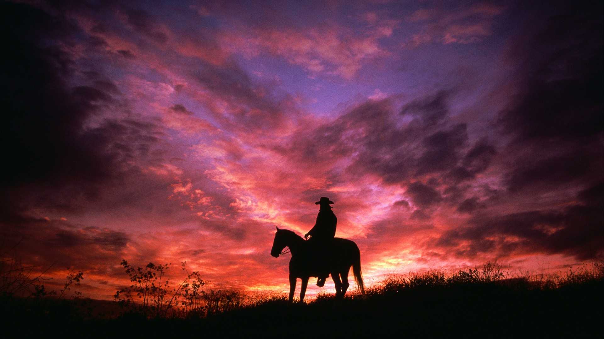 cowboy, purple, silhouette, photography, horse, pink, sky, sunset