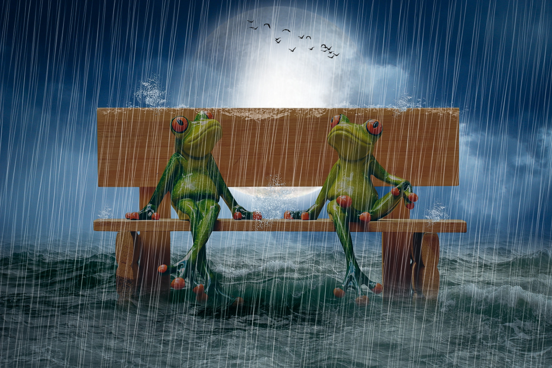 Free download wallpaper Rain, Bench, Frog, Humor on your PC desktop