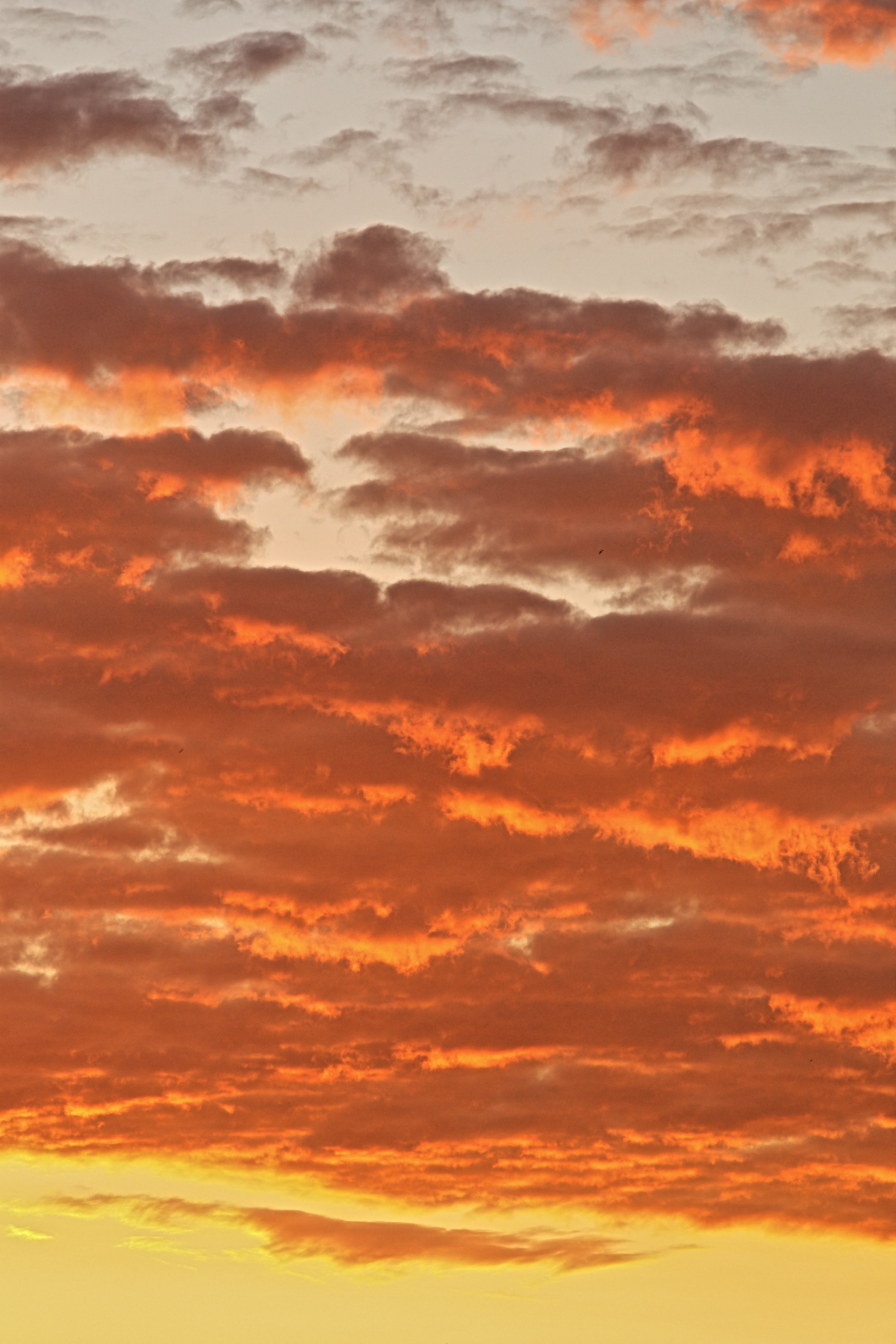 Laden Sie das Natur, Sunset, Sky, Rosa, Clouds-Bild kostenlos auf Ihren PC-Desktop herunter