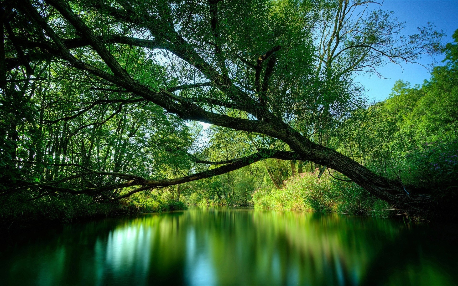 Téléchargez gratuitement l'image Terre/nature, Réflection sur le bureau de votre PC