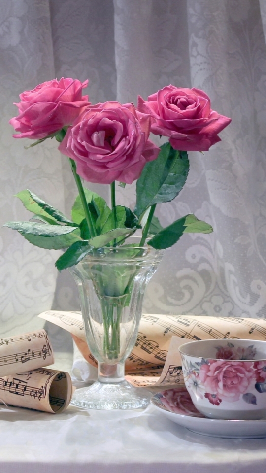 Скачати мобільні шпалери Натюрморт, Роза, Фотографія, Рожева Троянда, Чашка Чаю безкоштовно.