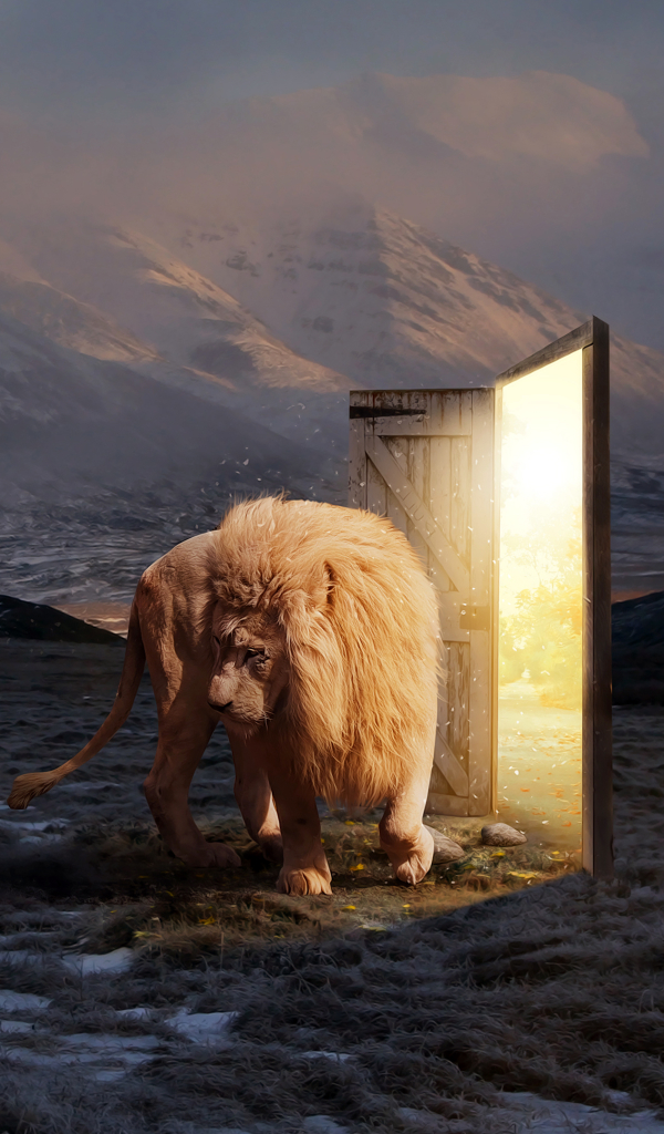 Download mobile wallpaper Fantasy, Lion, Dream, Door for free.