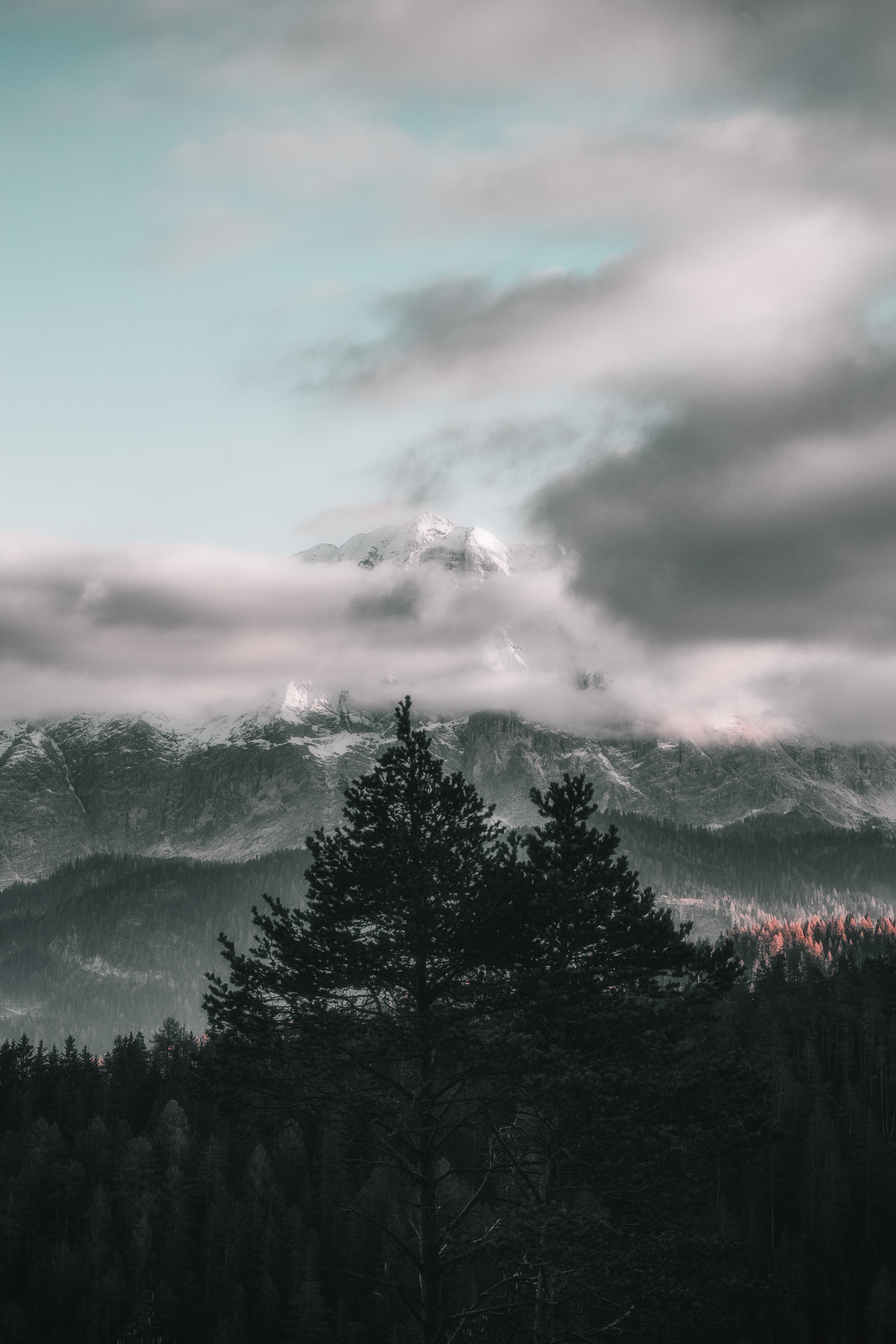 Free download wallpaper Nature, Trees, Sky, Mountains, Clouds, Fog on your PC desktop