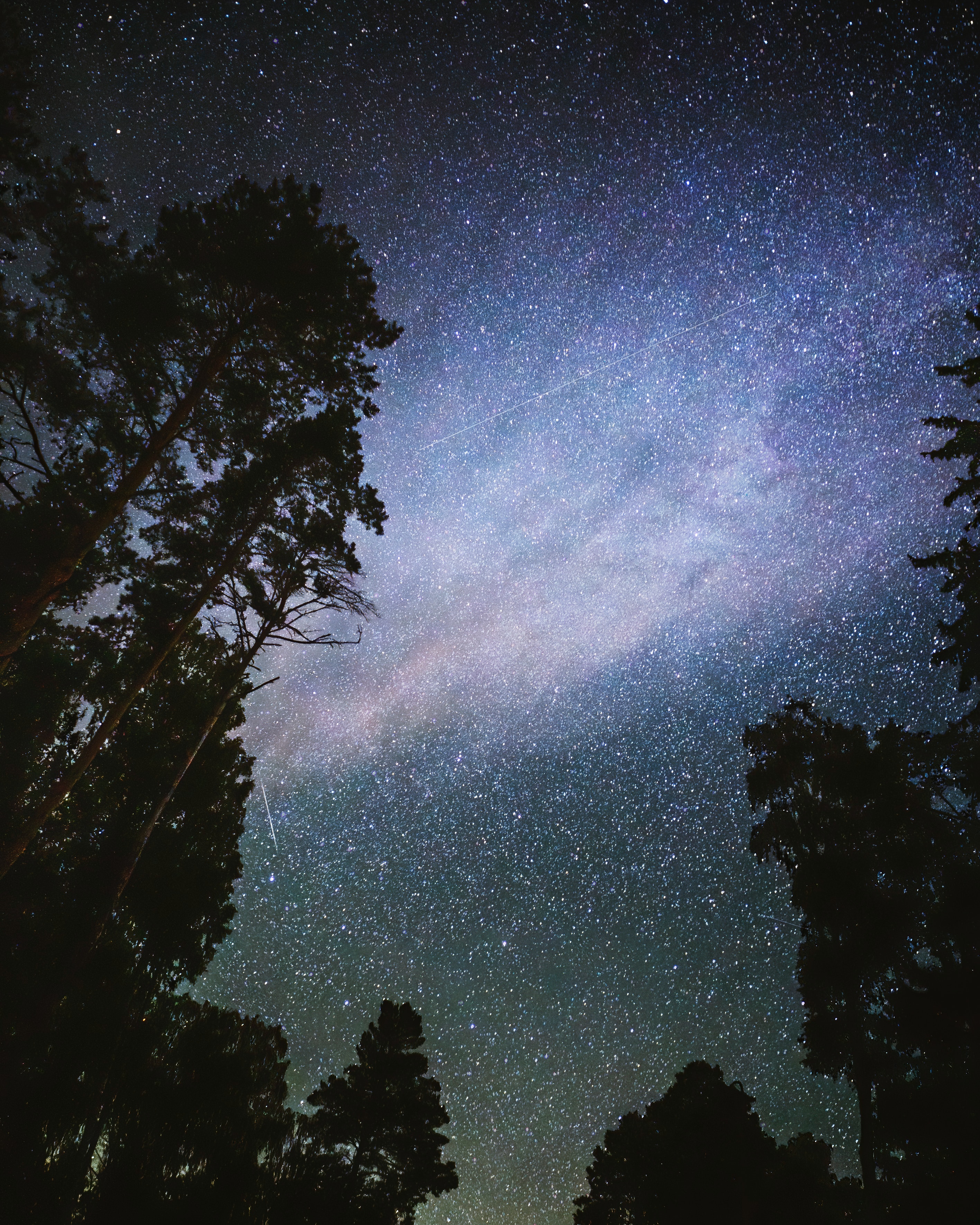 Download mobile wallpaper Trees, Stars, Starry Sky, Night, Dark for free.