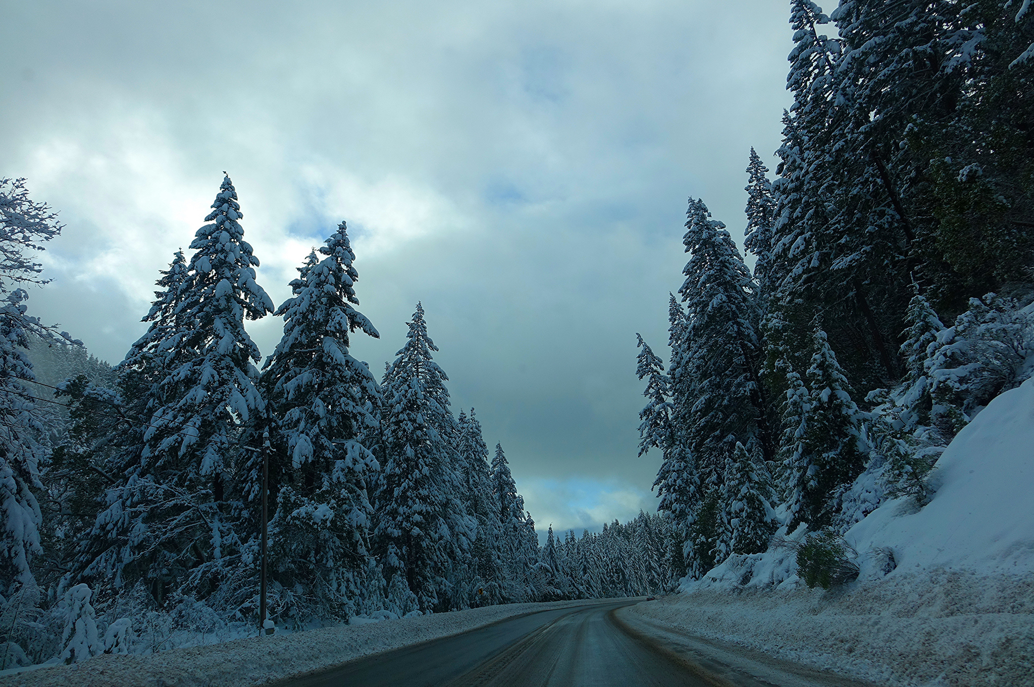 Handy-Wallpaper Winter, Schnee, Straße, Wald, Baum, Erde, Menschengemacht kostenlos herunterladen.