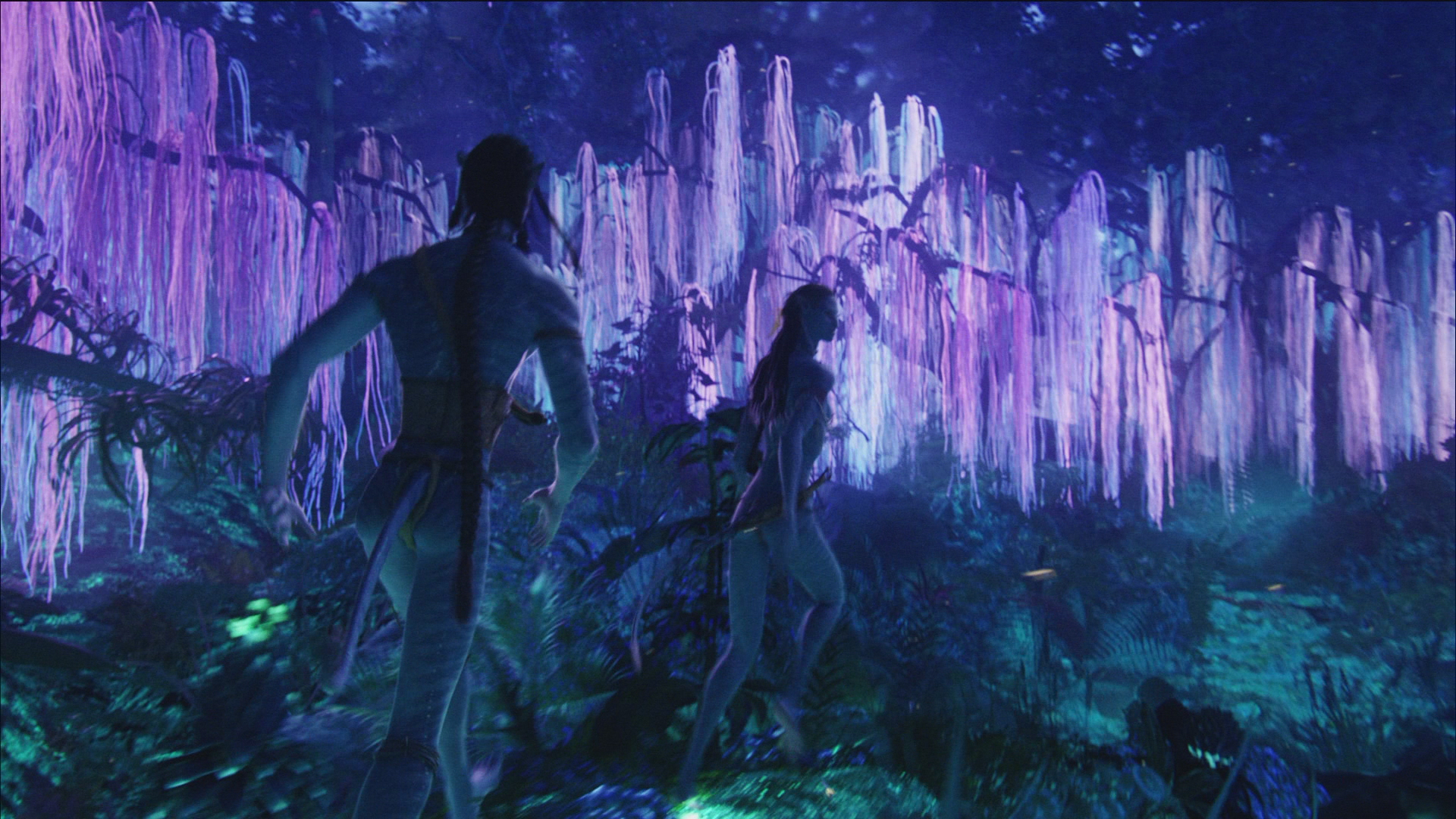 Handy-Wallpaper Filme, Avatar Aufbruch Nach Pandora kostenlos herunterladen.