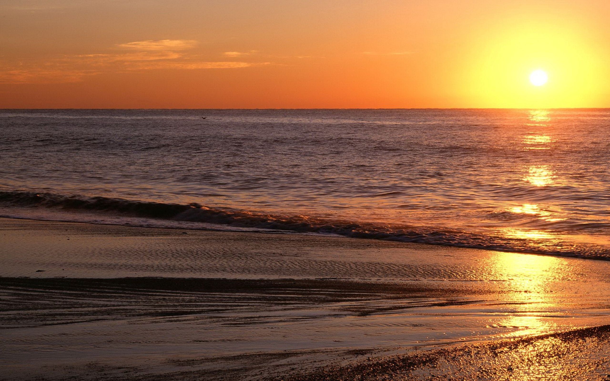 glare, nature, sunset, sea, waves, beach, sand, orange, horizon, shine, light, ripples, ripple, evening, calm Free Background
