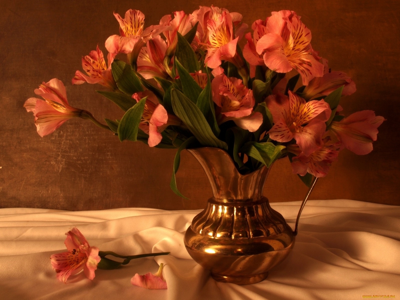 47194 descargar imagen plantas, flores, bouquets, naranja: fondos de pantalla y protectores de pantalla gratis