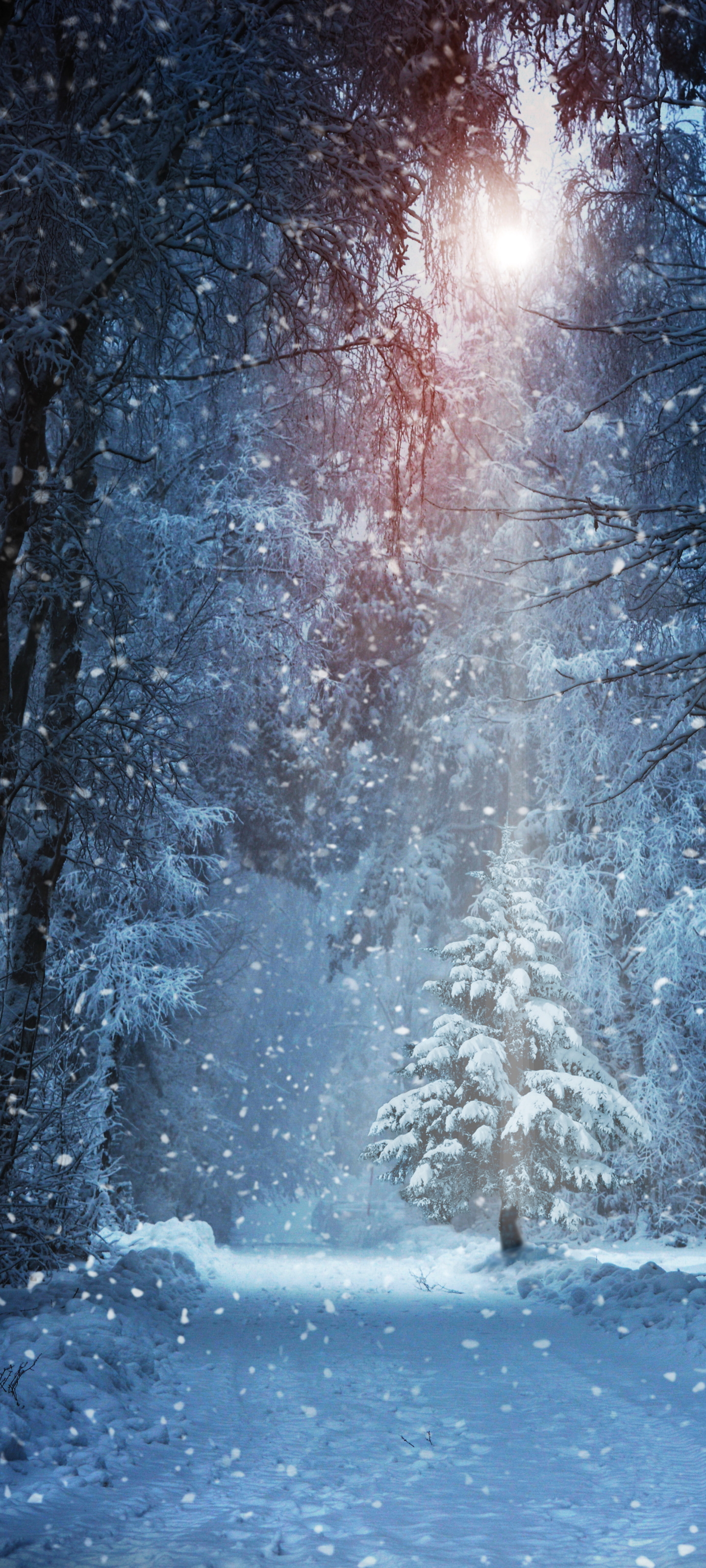 Download mobile wallpaper Winter, Earth, Path, Snowfall for free.