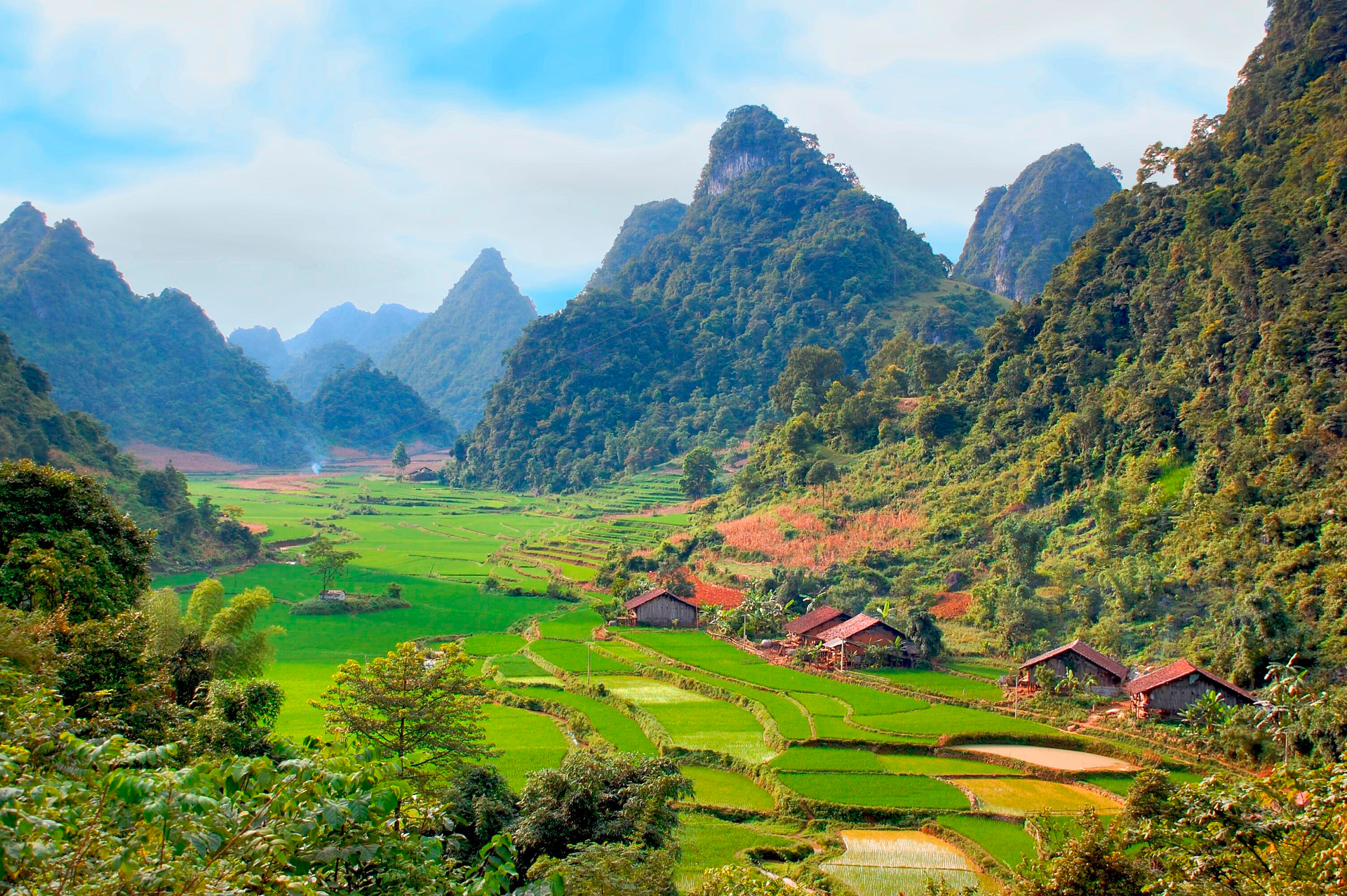 779023 скачать обои деревня, вьетнам, сделано человеком, рисовая терраса, земля, лес, ландшафт, гора - заставки и картинки бесплатно