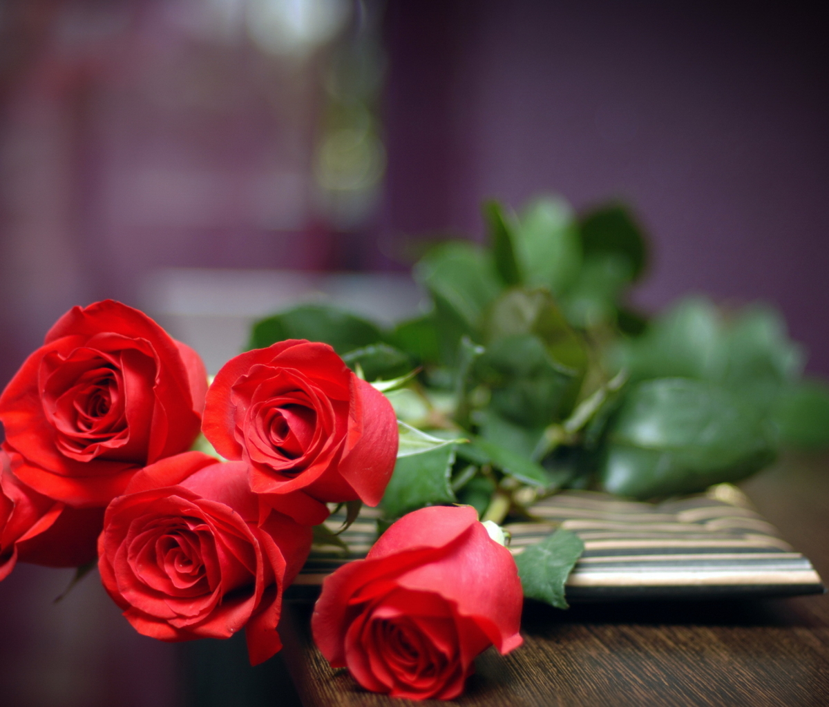 Baixar papel de parede para celular de Flor, Feito Pelo Homem gratuito.