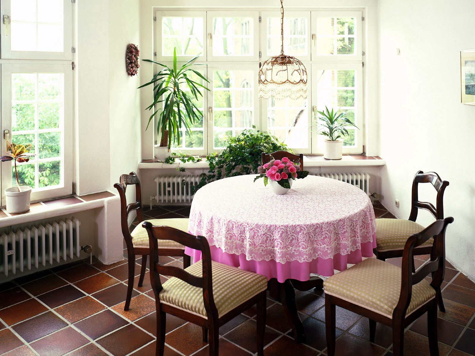 plants, windows, miscellanea, miscellaneous, table, style