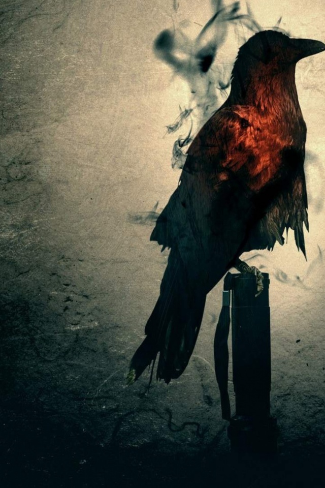 Download mobile wallpaper Crow, Video Game, Alan Wake for free.