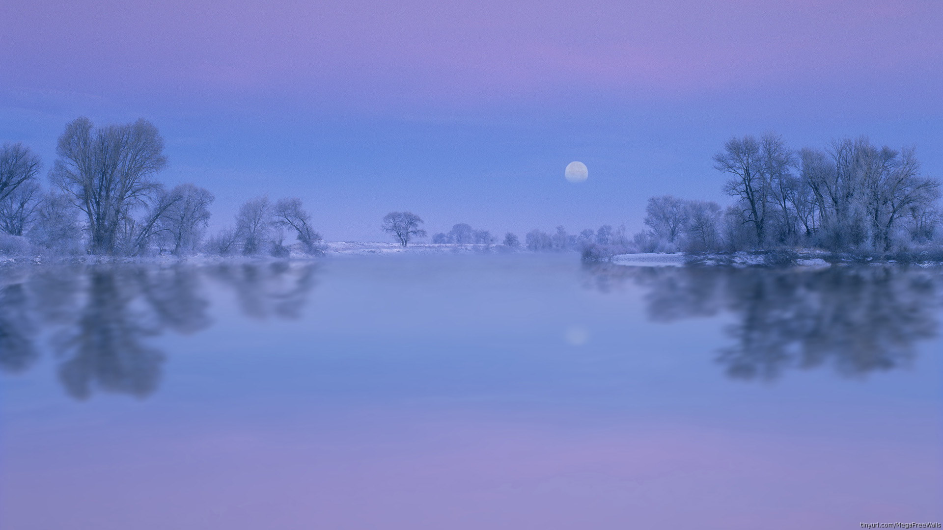 Download mobile wallpaper Nature, Water, Moon, Lake, Reflection, Tree, Earth for free.