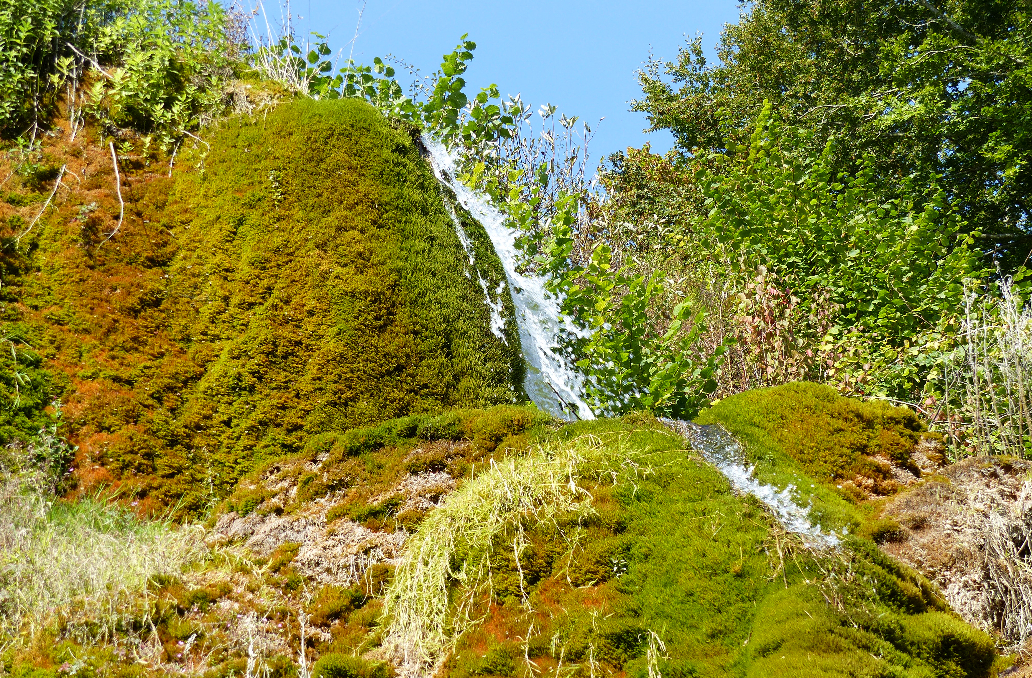Download mobile wallpaper Nature, Waterfalls, Waterfall, Earth, Moss for free.