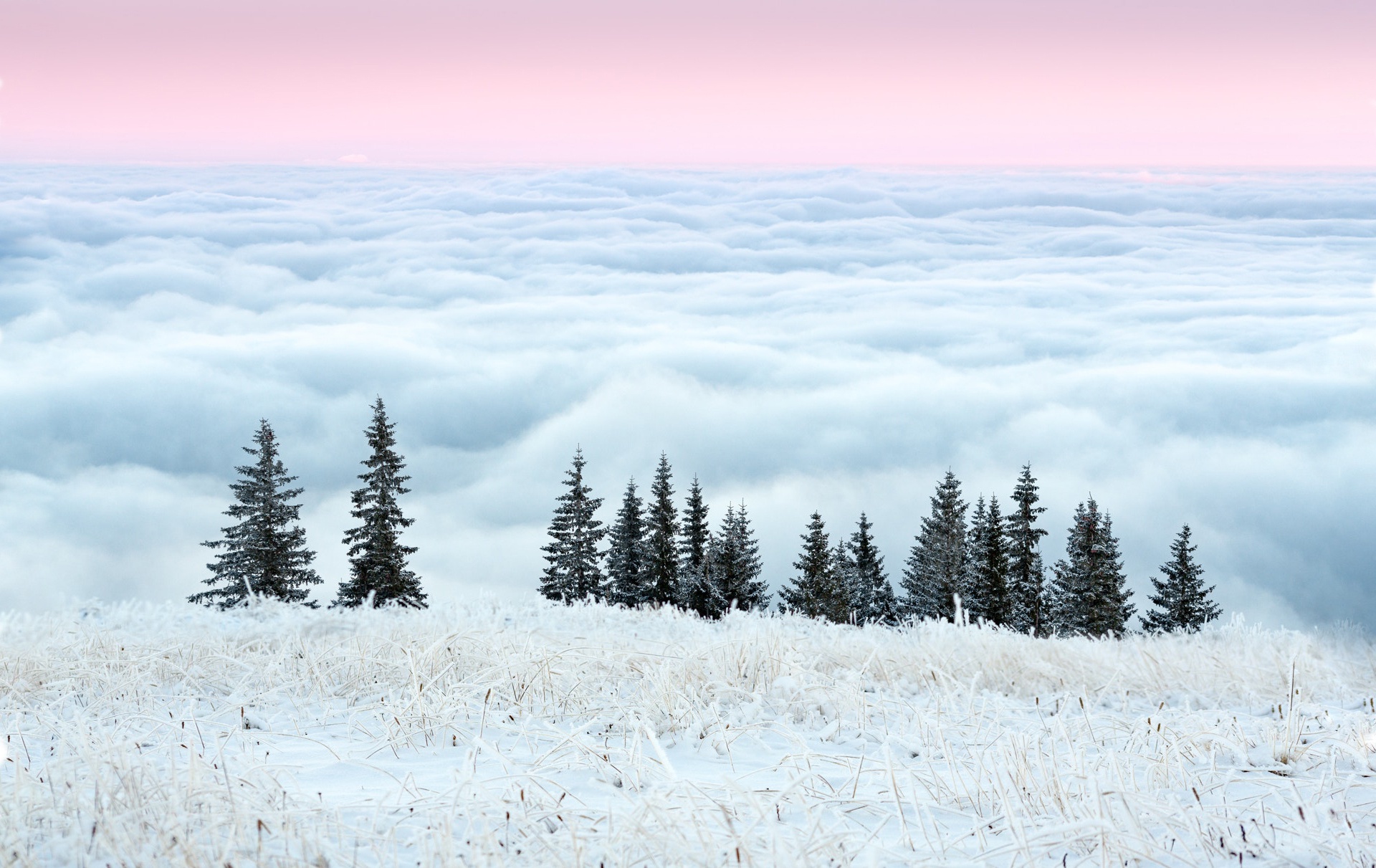 Free download wallpaper Earth, Cloud, Sea Of Clouds on your PC desktop