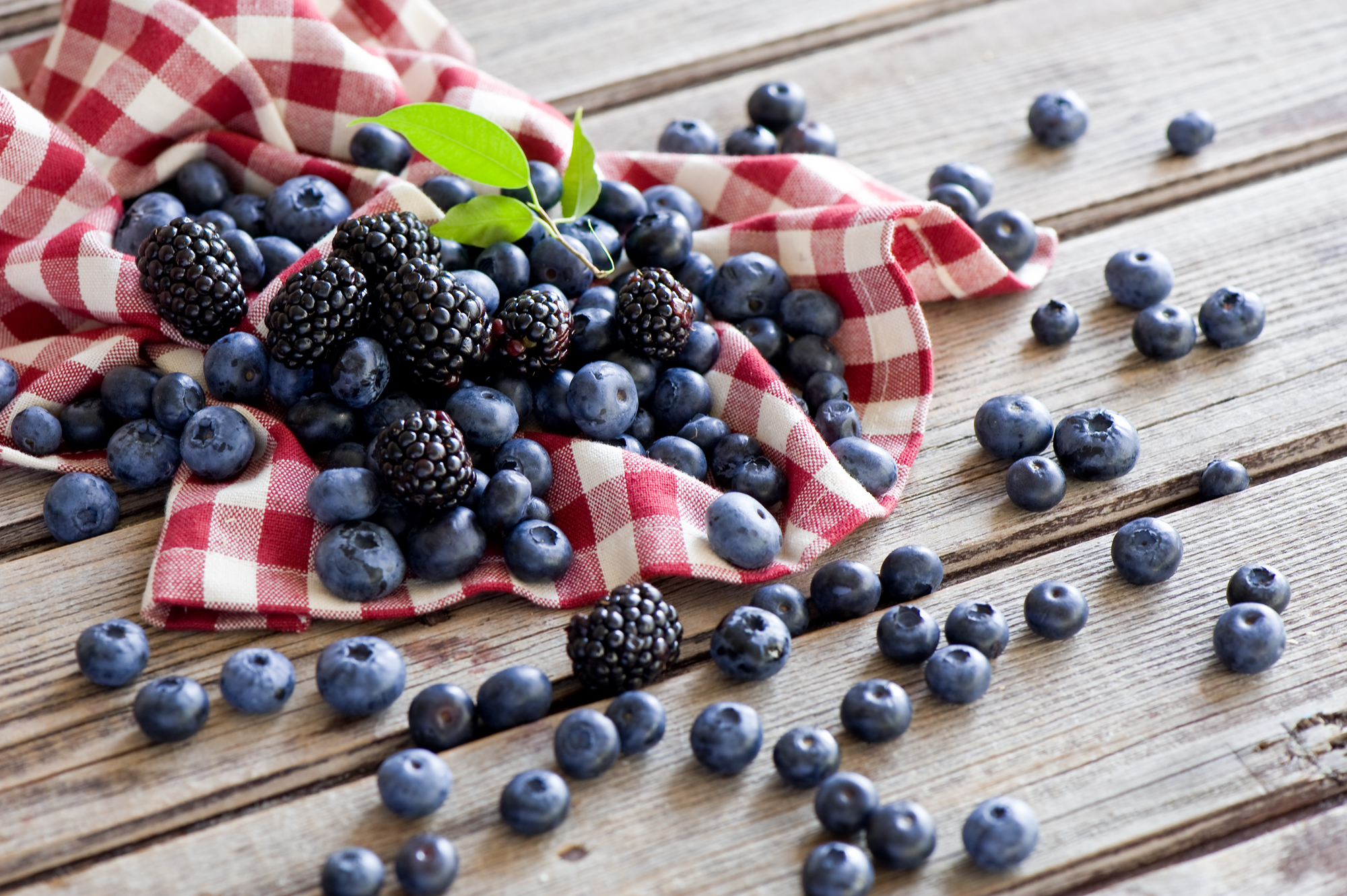 Download mobile wallpaper Food, Blueberry, Blackberry, Berry, Fruit for free.