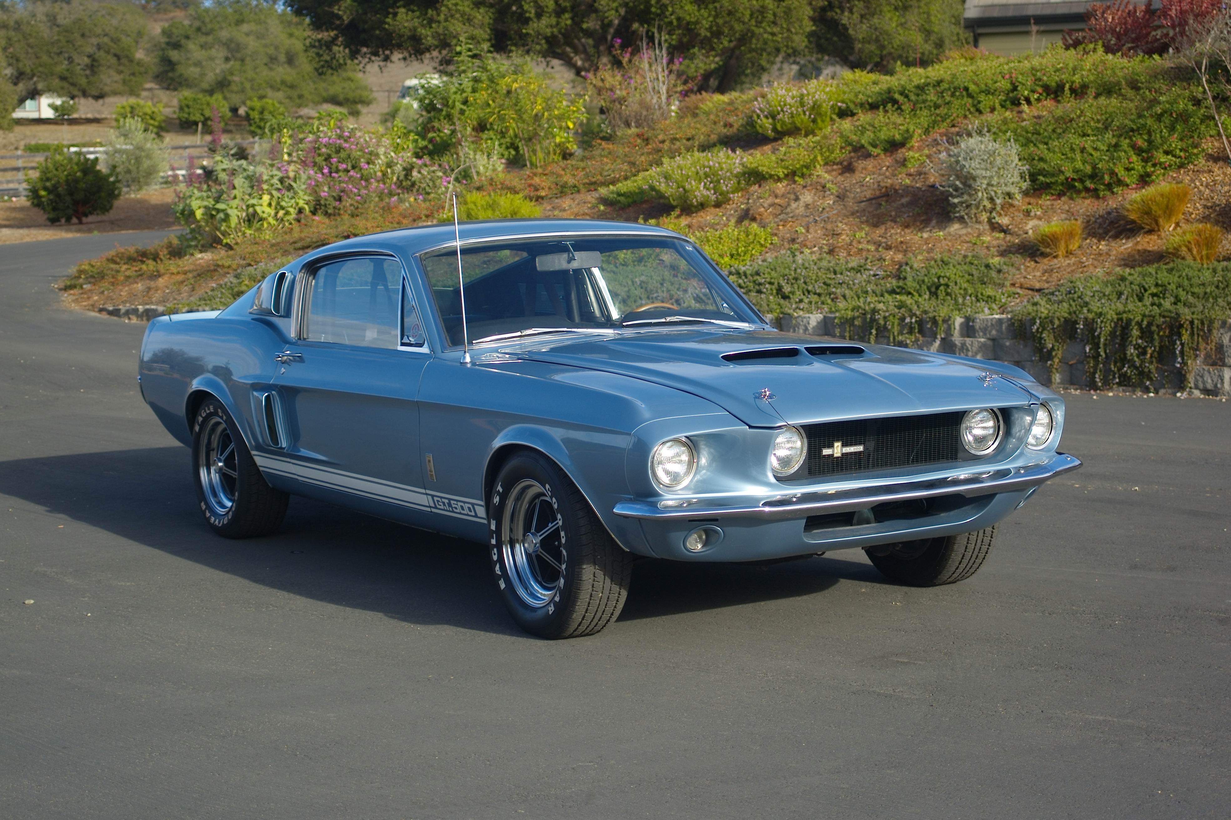 Free download wallpaper Ford, Car, Muscle Car, Fastback, Shelby Gt500, Vehicles on your PC desktop