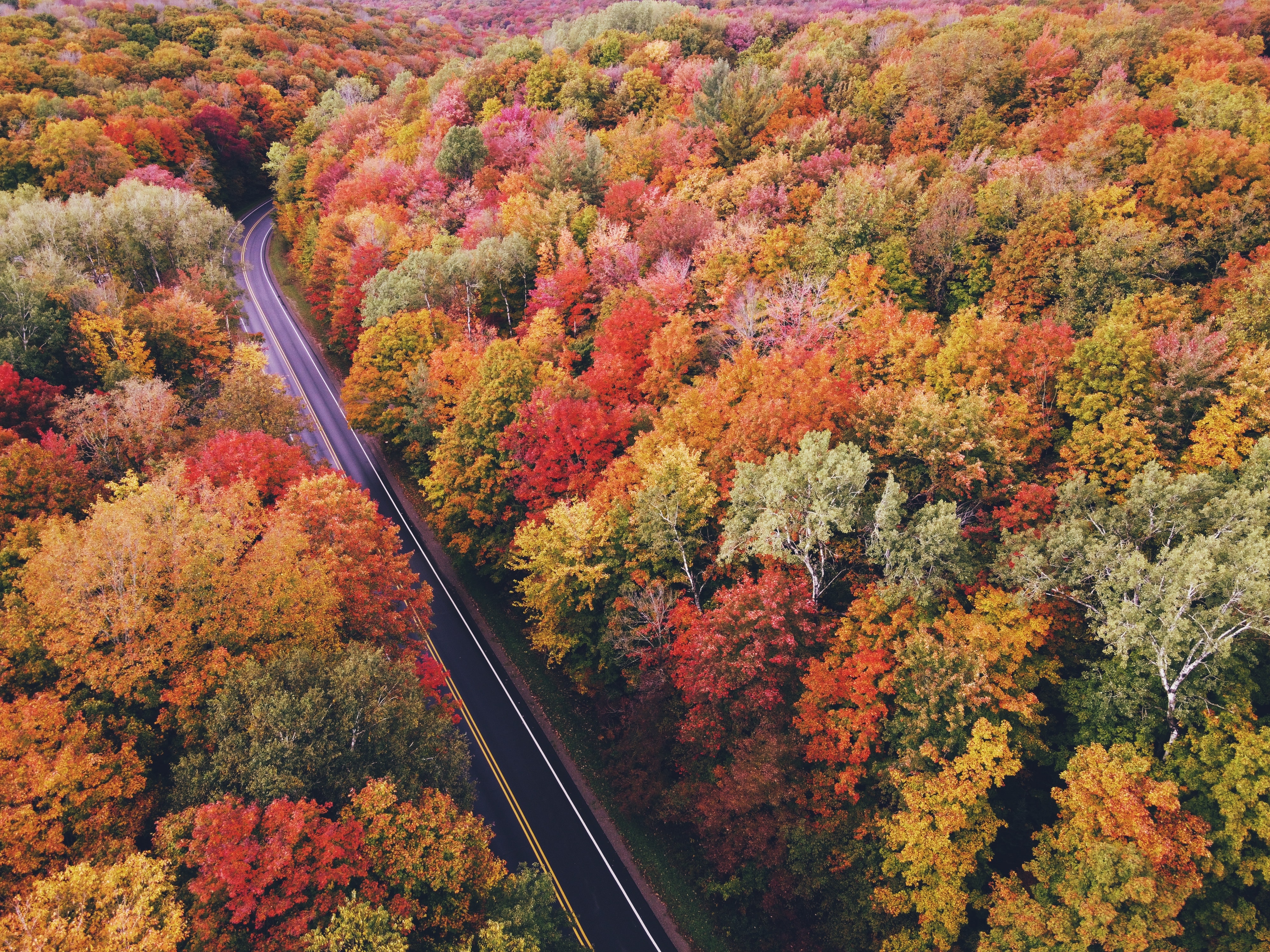 PCデスクトップに自然, 木, 道路, 秋, 上から見る, 道画像を無料でダウンロード