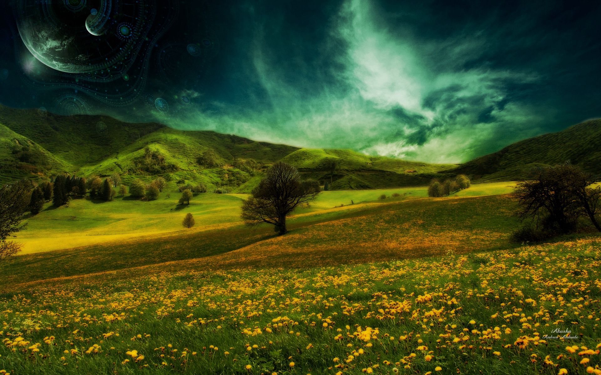 Free download wallpaper Hills, Nature, Field, Flowers, Landscape on your PC desktop