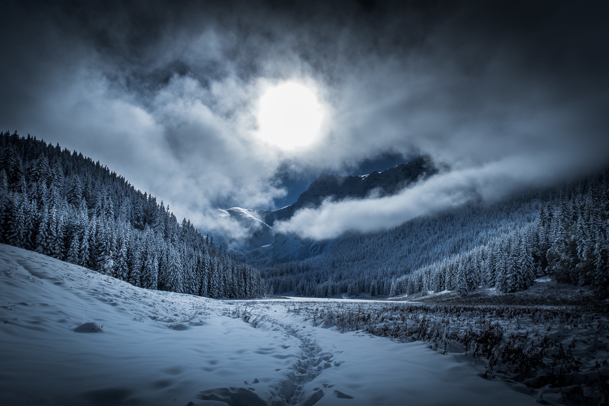 Download mobile wallpaper Winter, Sky, Twilight, Forest, Earth for free.