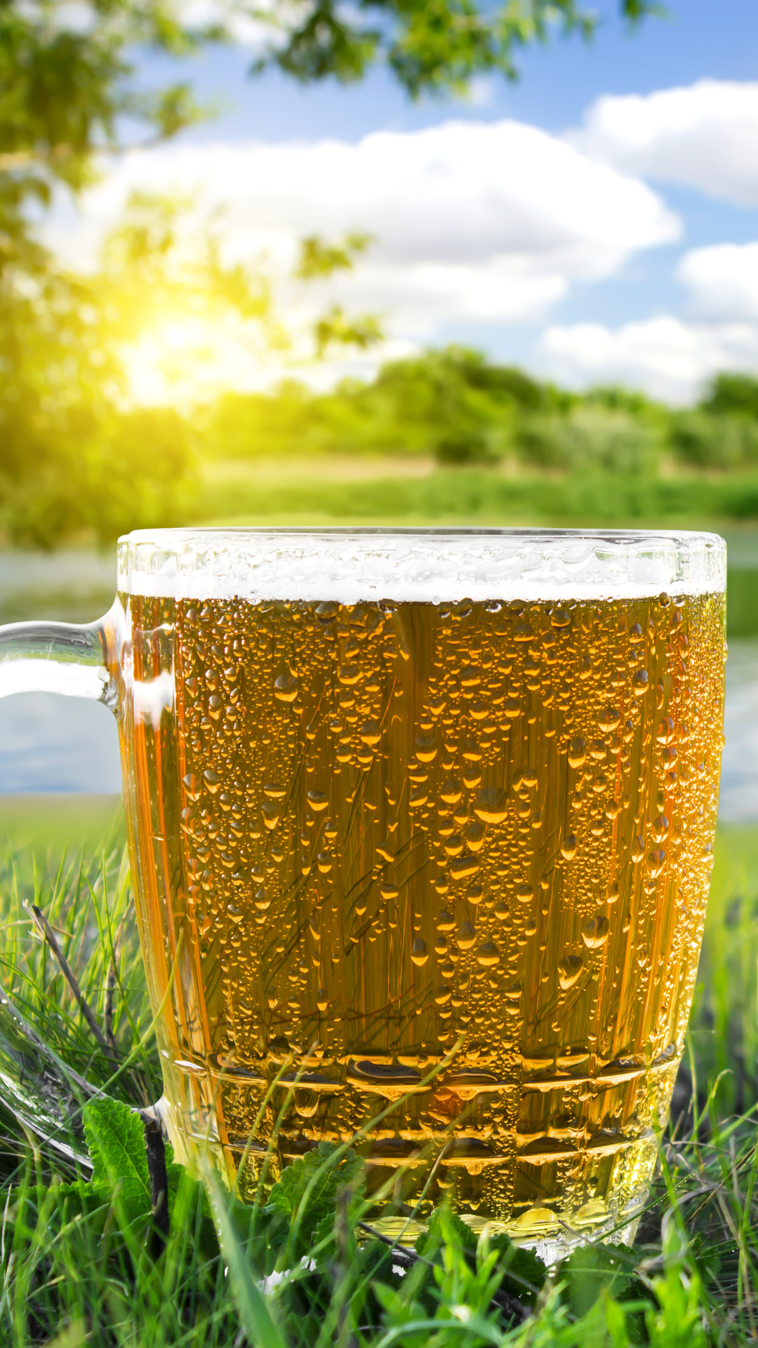 Download mobile wallpaper Food, Beer, Glass for free.