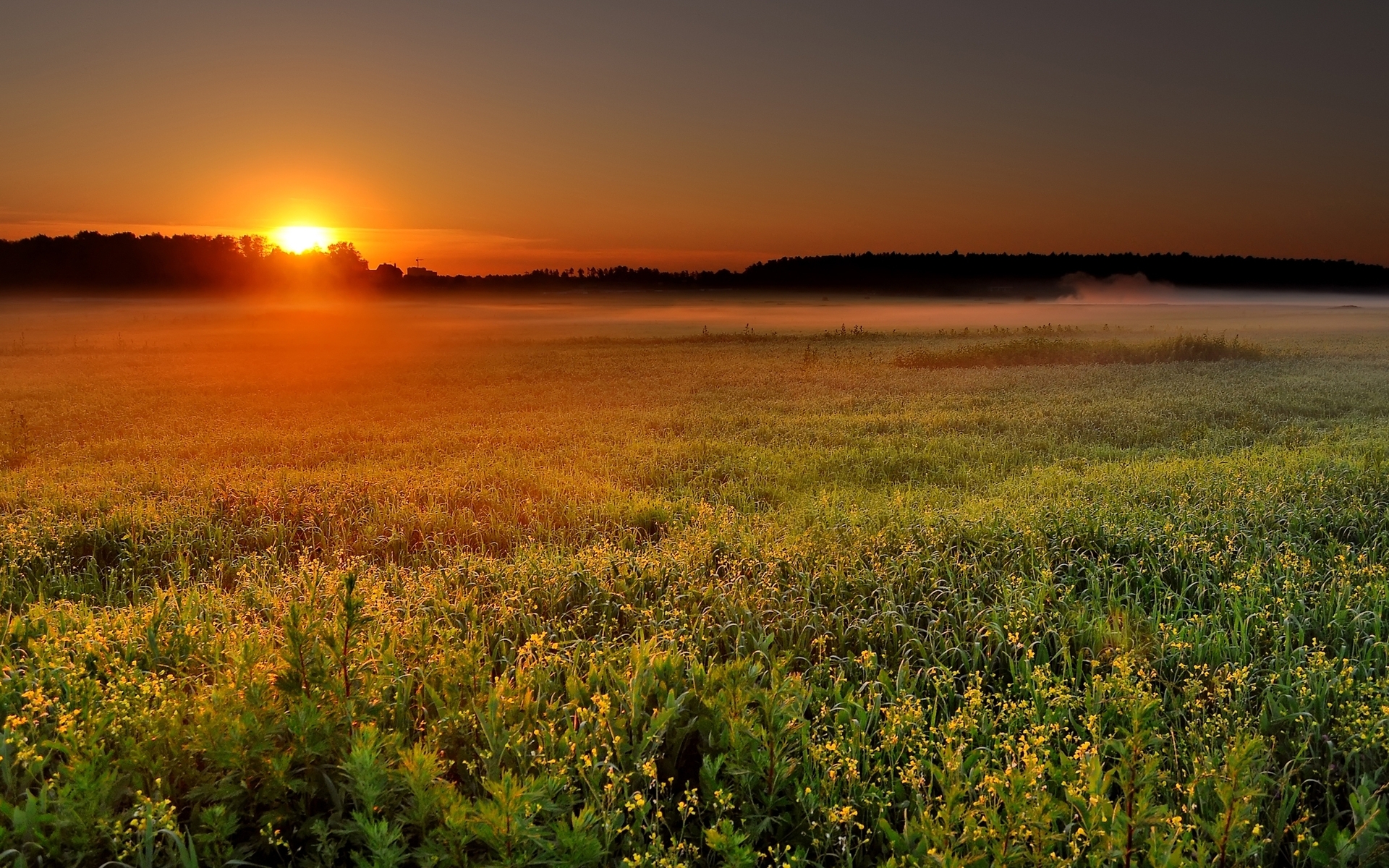 Descarga gratuita de fondo de pantalla para móvil de Rayo De Sol, Tierra/naturaleza.