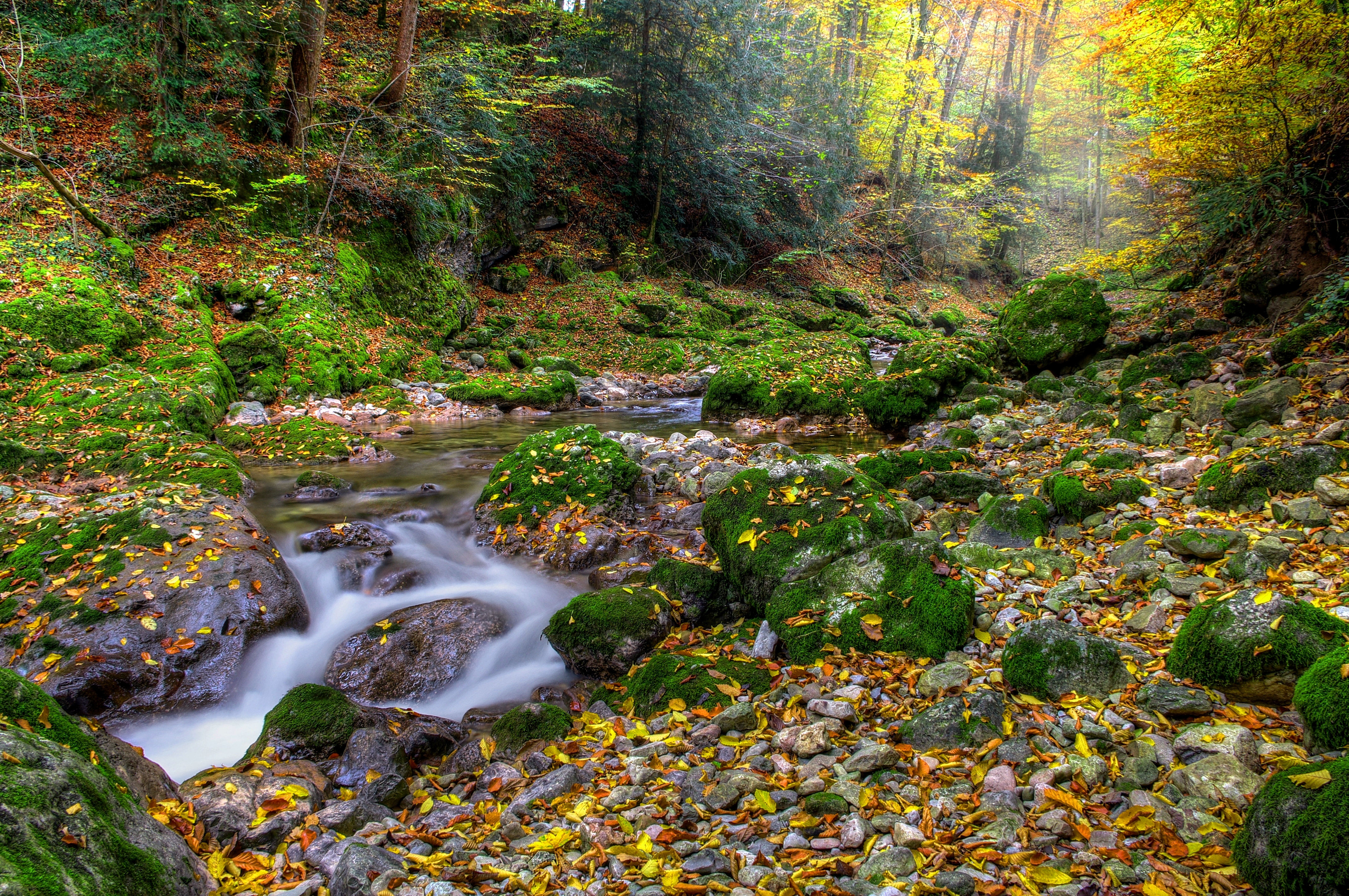95932 завантажити картинку осінь, пейзаж, природа, річка, камені, ліс, ріка - шпалери і заставки безкоштовно