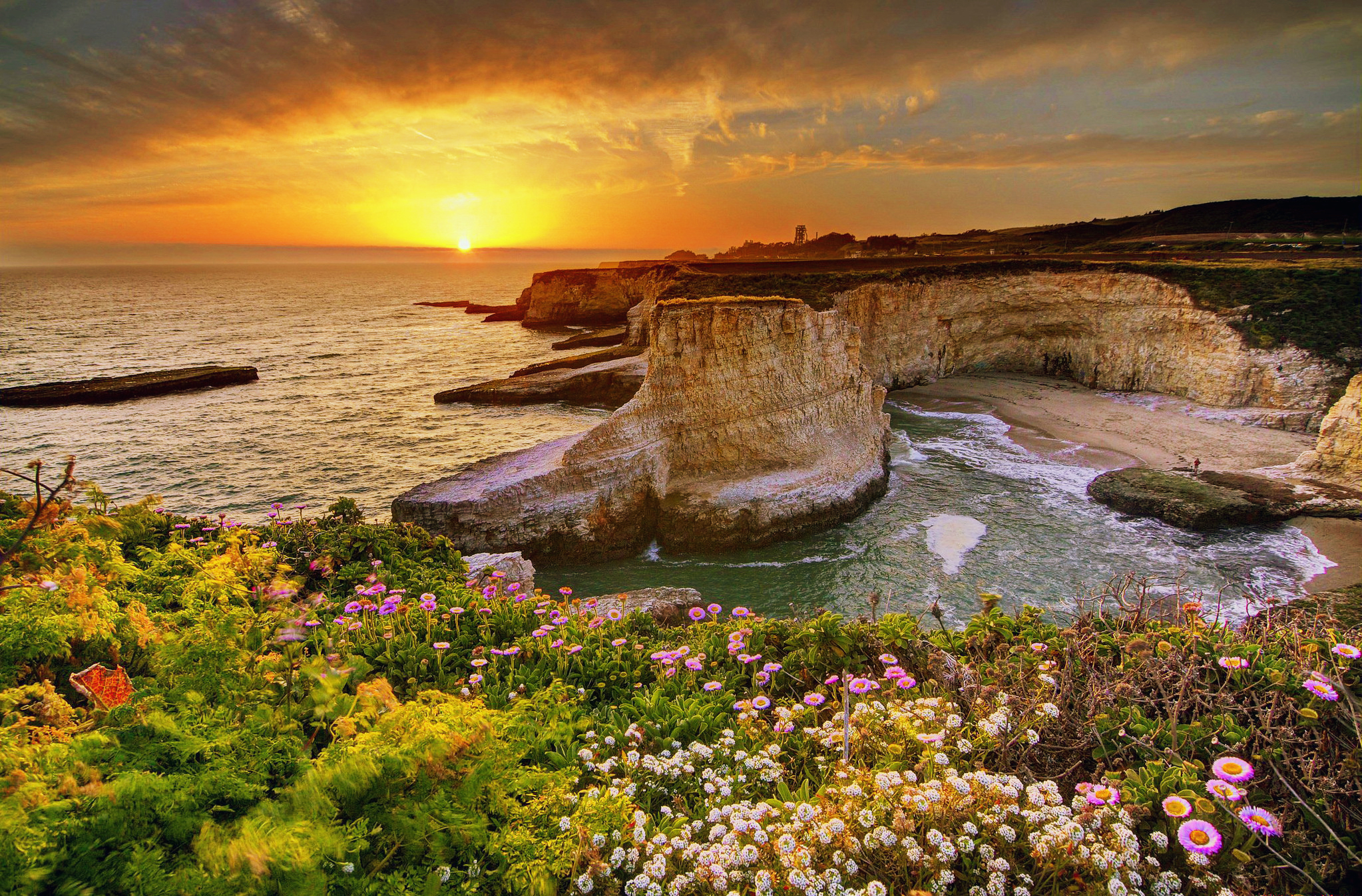 sunset, sea, earth, coastline, beach, big sur, california, cliff, flower, horizon, ocean