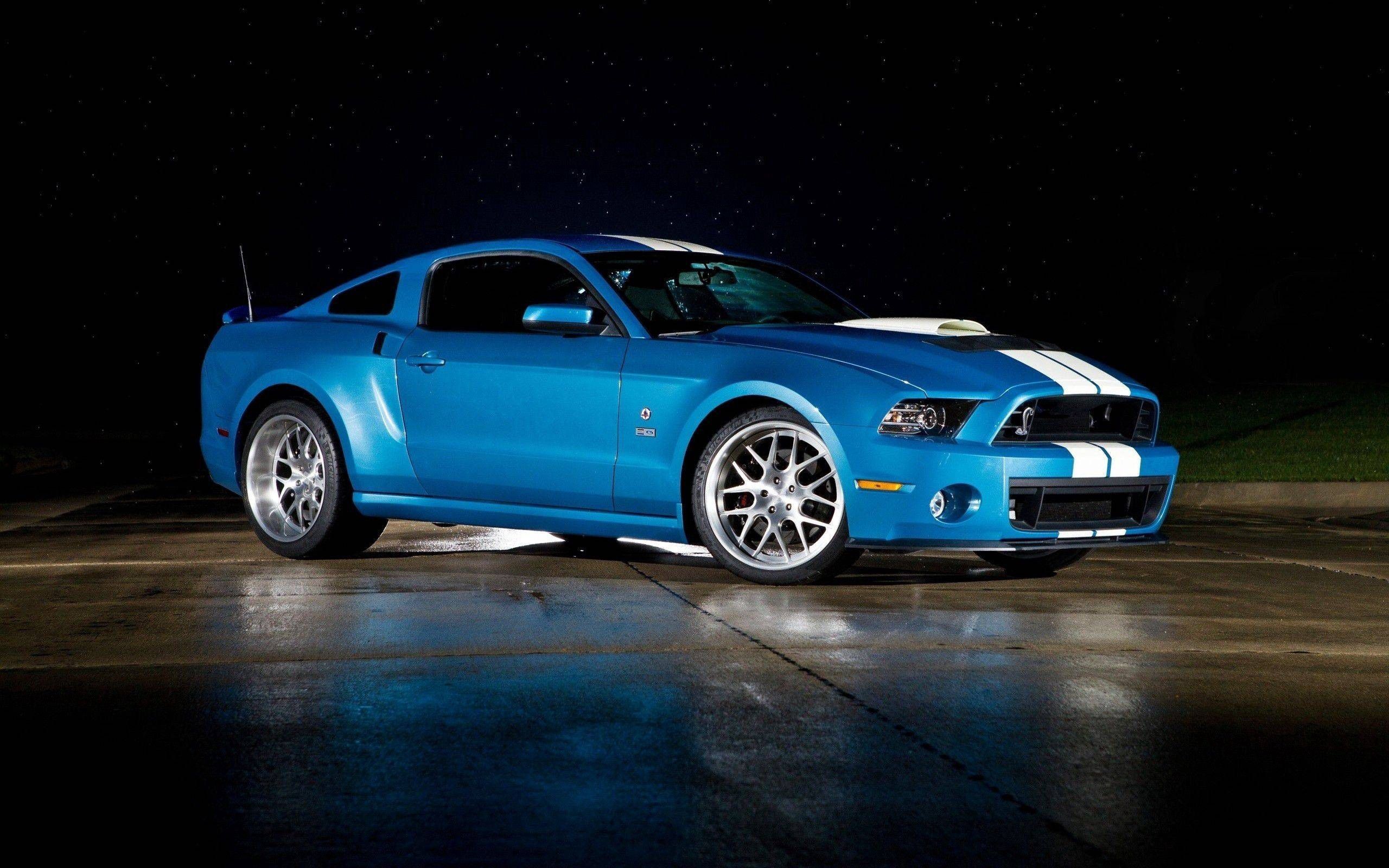 auto, ford, cars, gt500, shelby