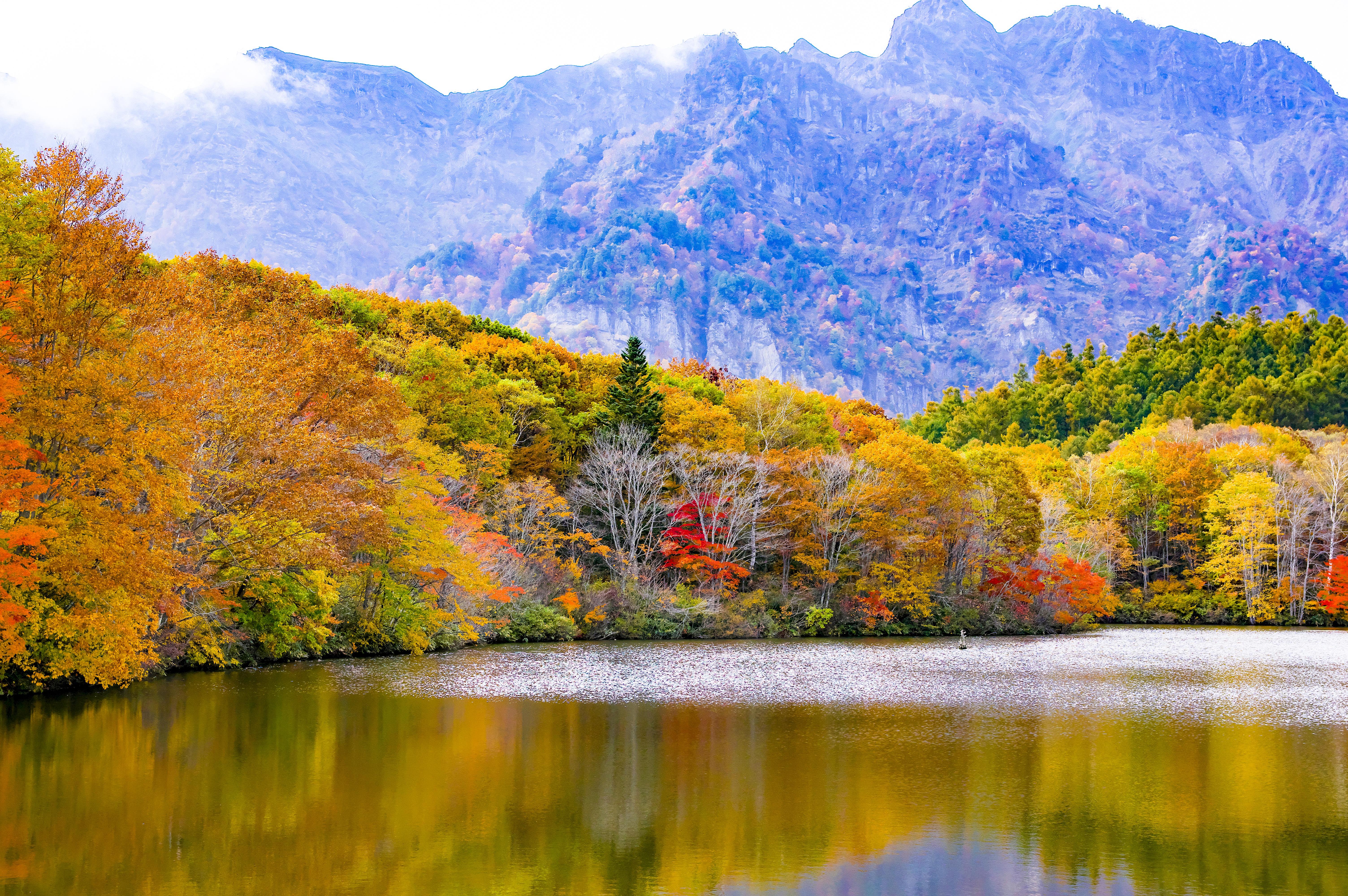 PCデスクトップに自然, 木, 秋, 湖, 戸隠, 徳久井, 山脈, 日本画像を無料でダウンロード