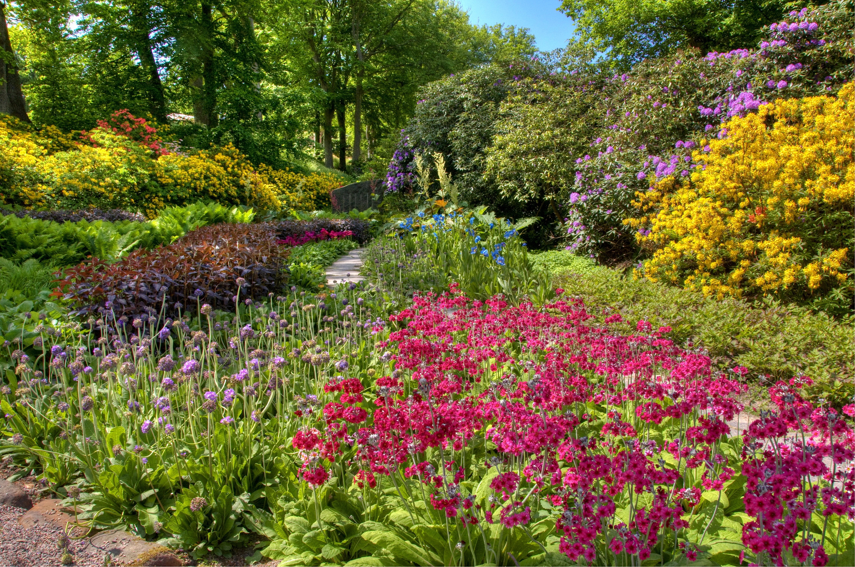 abundance, garden, color, nature, flowers, bush, colors, assorted, flower beds