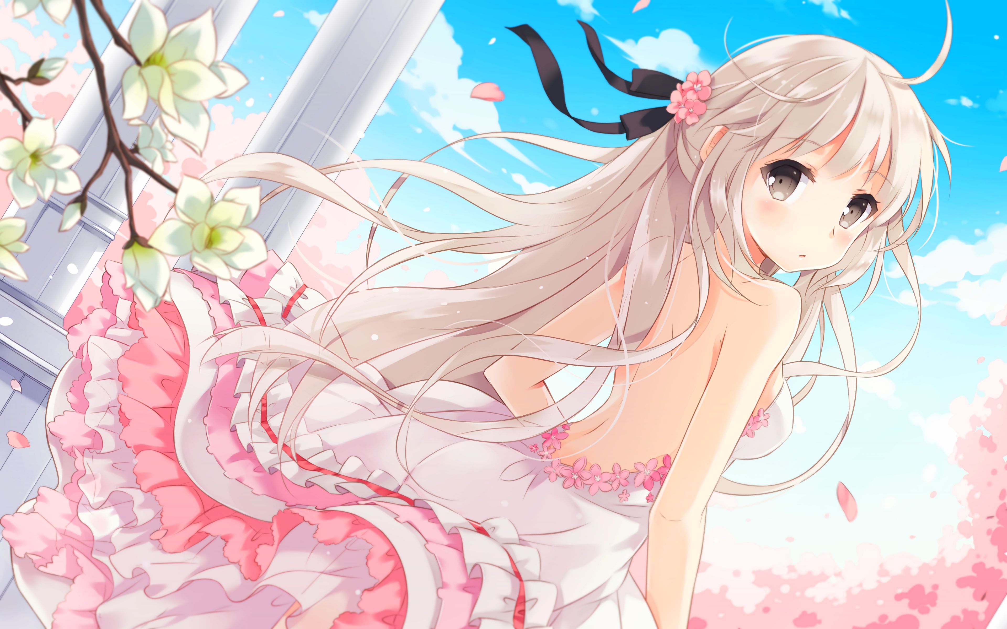 861328 baixar papel de parede anime, yosuga no sora, flor de cerejeira, vestir, flor, sora kasugano, primavera, vestido branco - protetores de tela e imagens gratuitamente