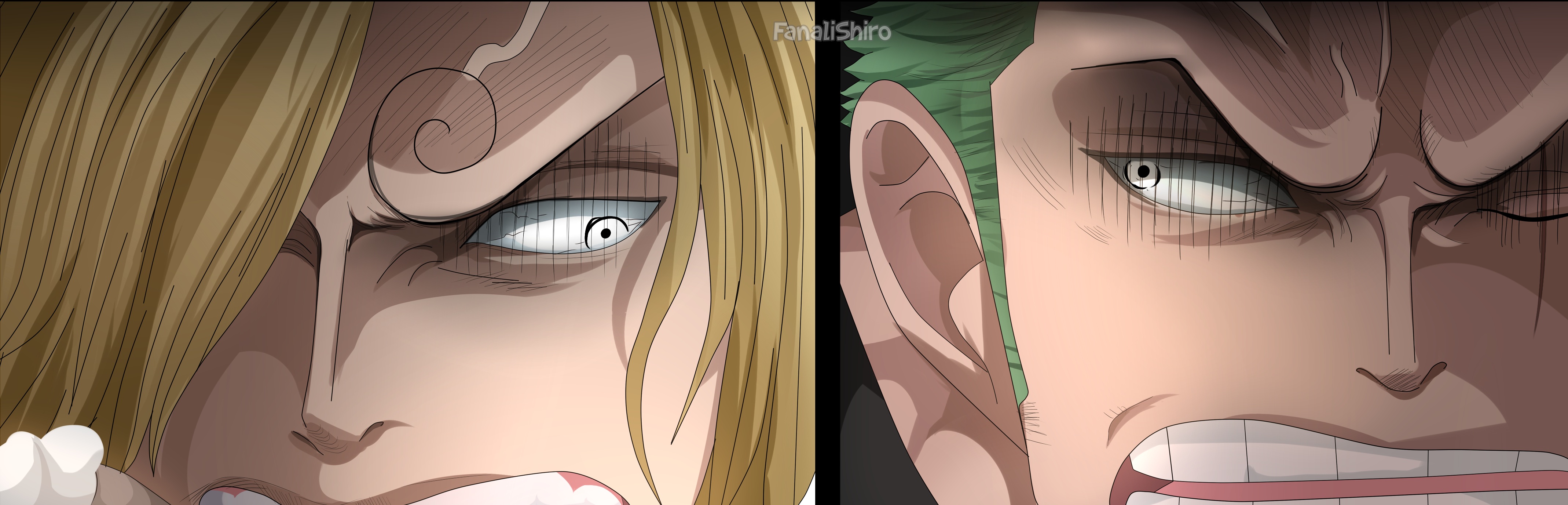 Baixe gratuitamente a imagem Anime, One Piece, Roronoa Zoro, Sanji (One Piece) na área de trabalho do seu PC