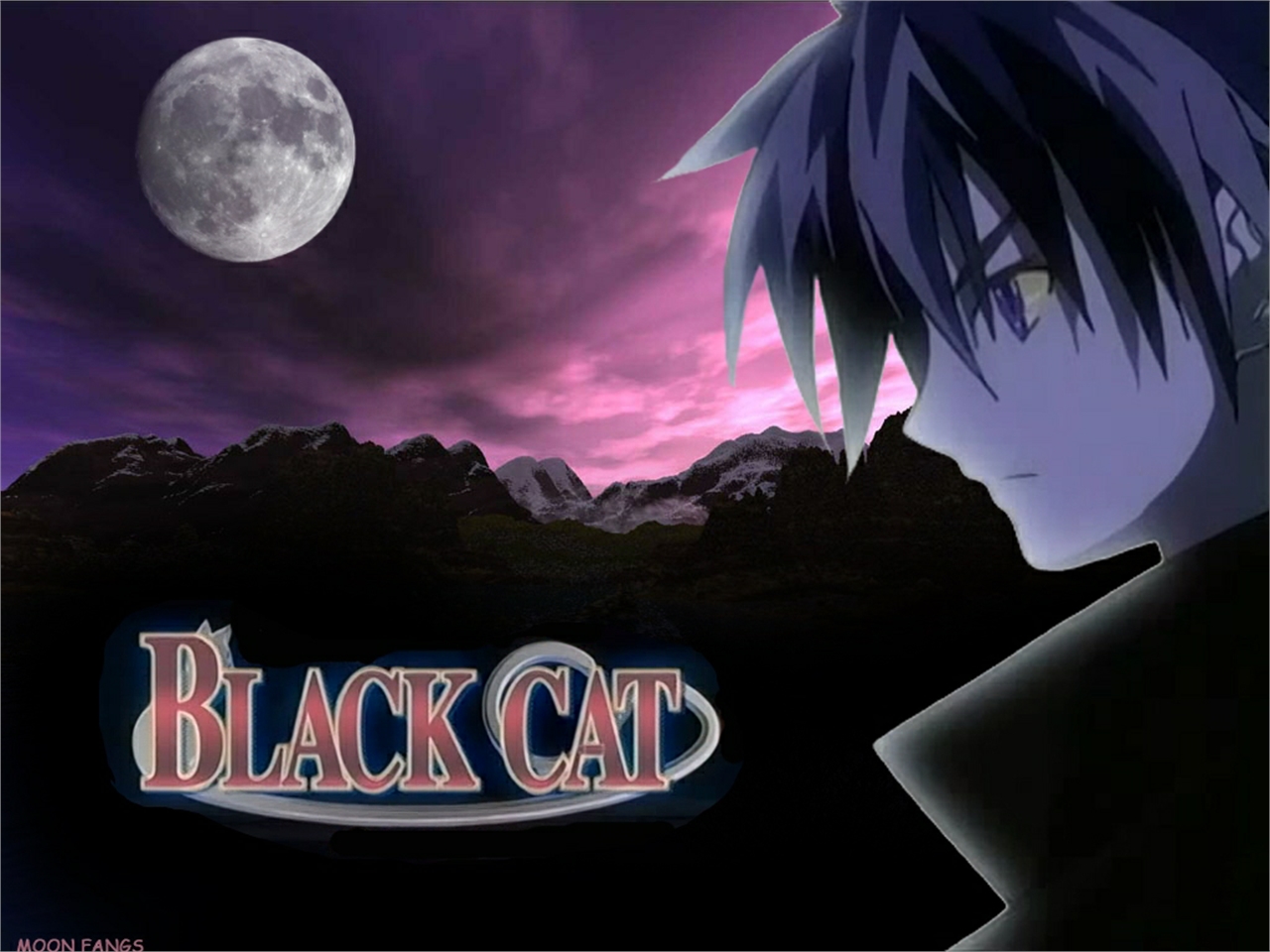 1496054 descargar imagen animado, el gato negro: fondos de pantalla y protectores de pantalla gratis
