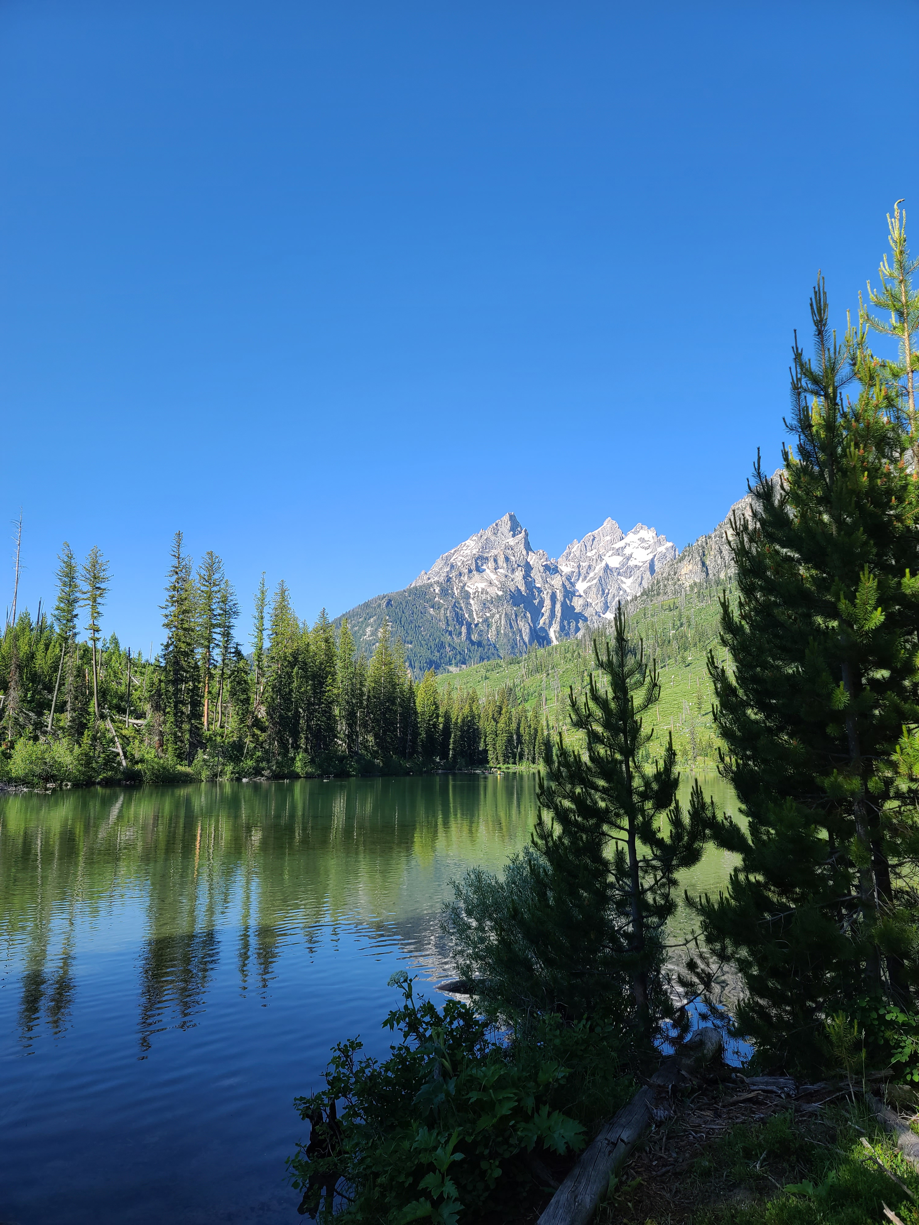 無料モバイル壁紙自然, 木, 湖, 山, 風景をダウンロードします。