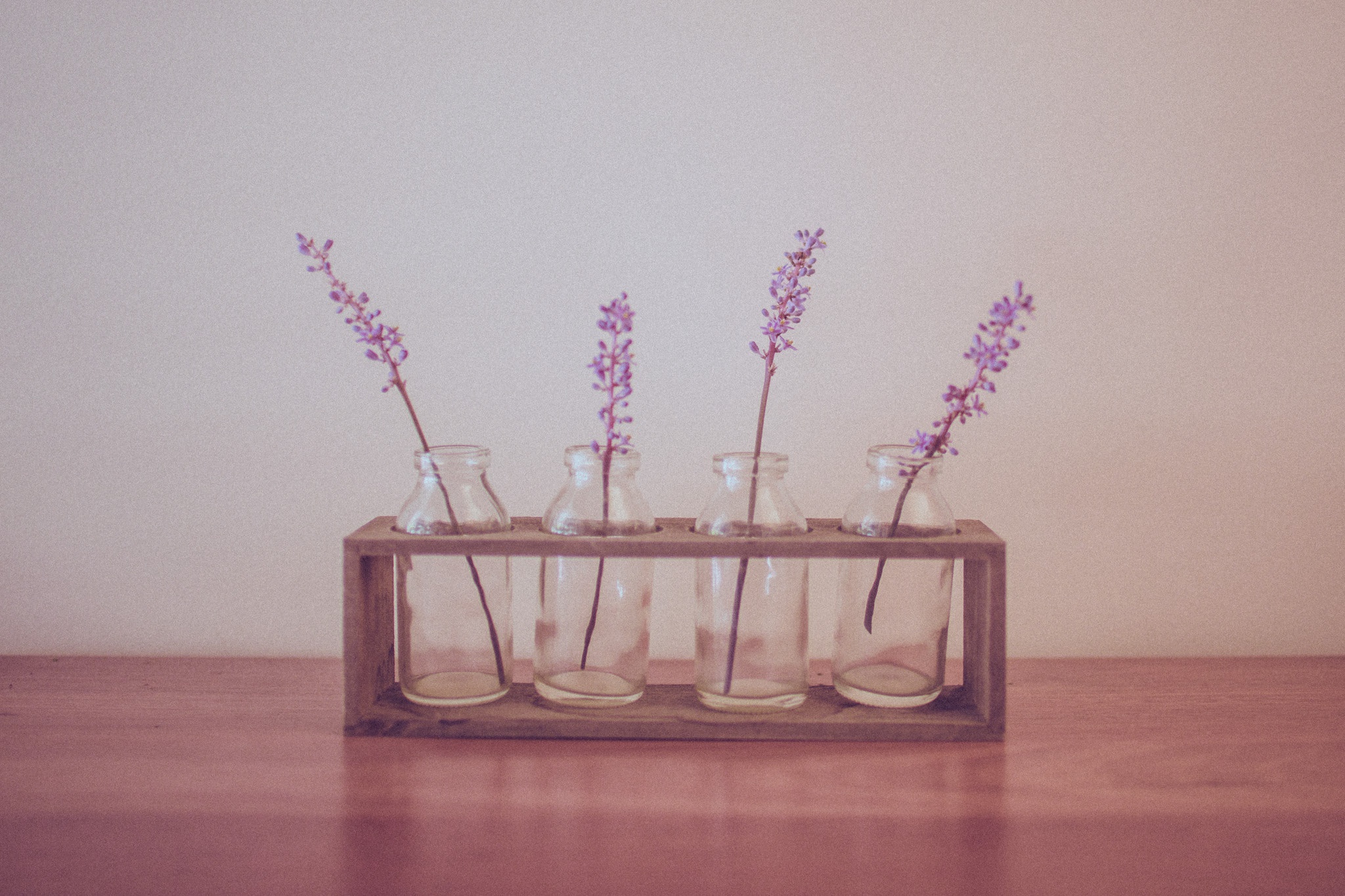 Free download wallpaper Flower, Jar, Purple Flower, Man Made on your PC desktop