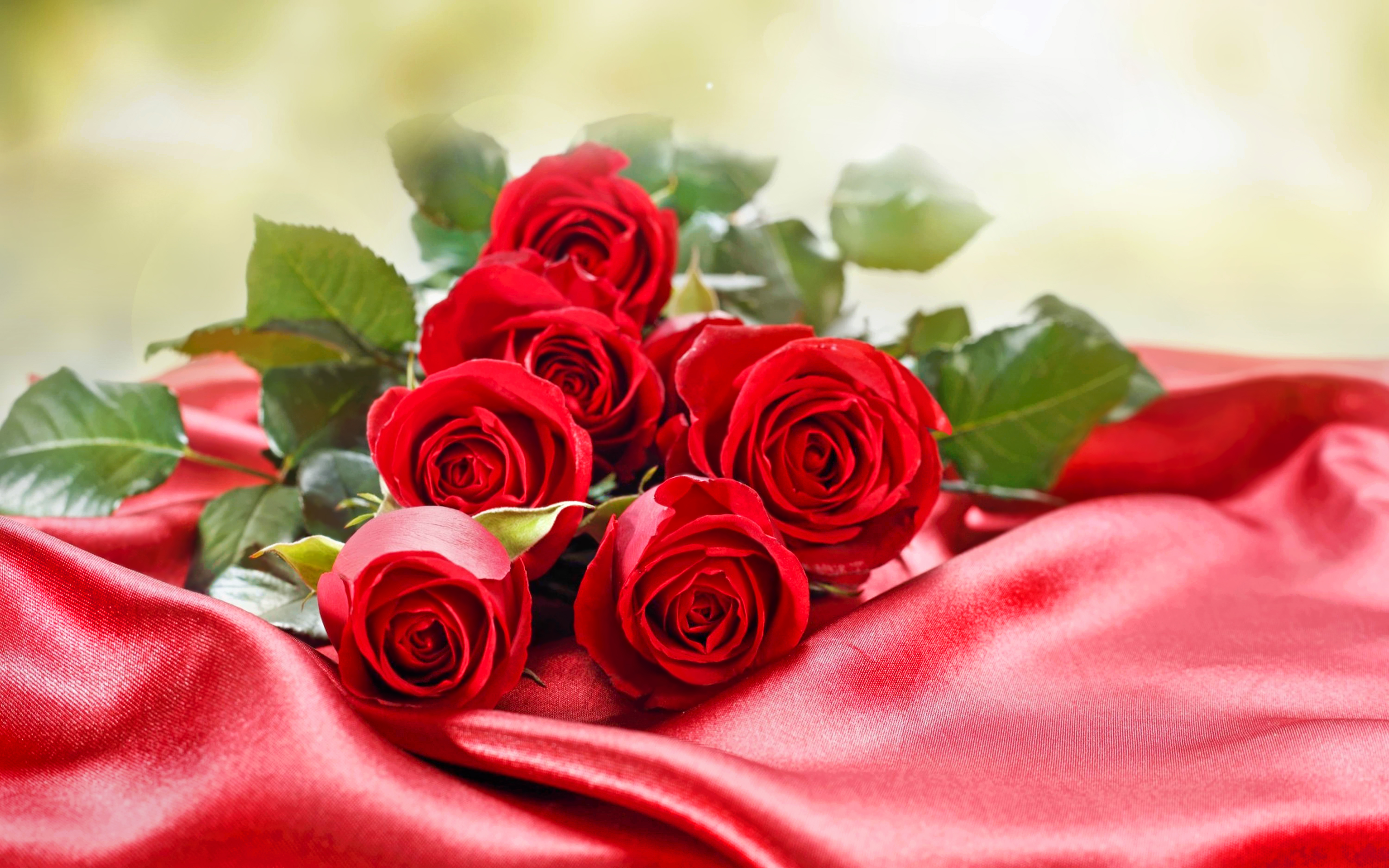 1502716壁紙のダウンロードホリデー, バレンタイン・デー, 花, パステル, 赤いバラ, 薔薇, シルク-スクリーンセーバーと写真を無料で