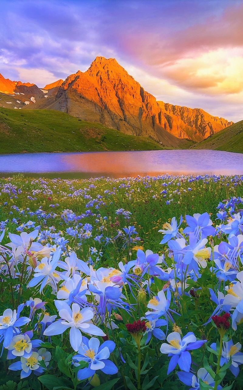 Download mobile wallpaper Landscape, Lakes, Mountain, Lake, Flower, Earth, Spring, Blue Flower for free.