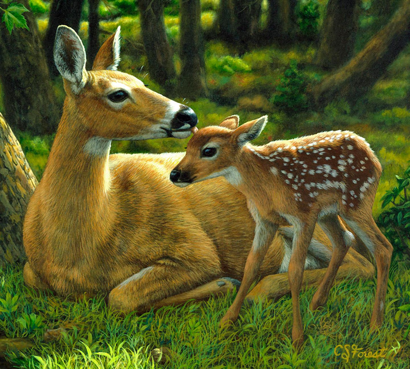 fawn, animal, deer, forest, painting