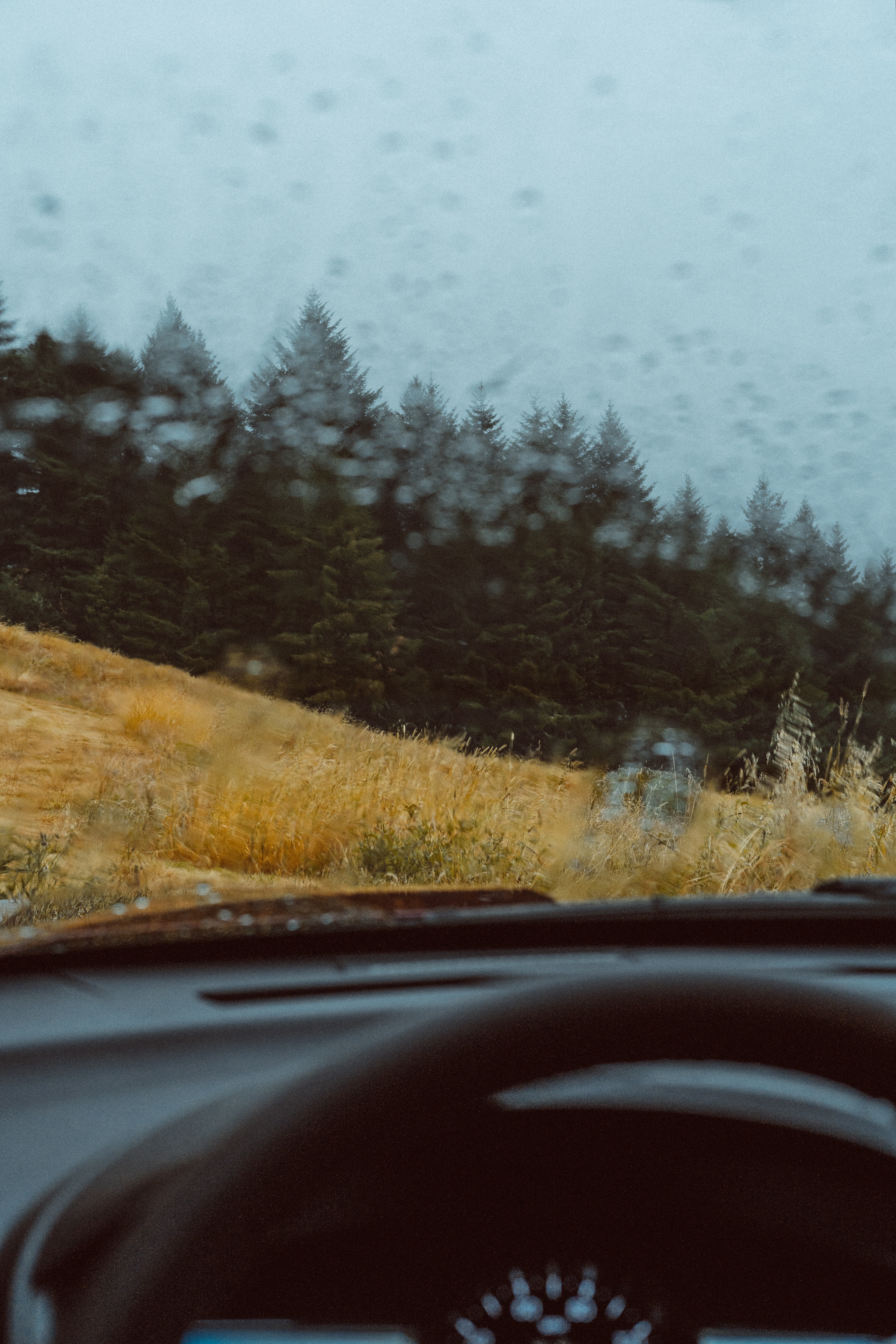 Download background rain, miscellanea, miscellaneous, forest, car, machine, glass, view