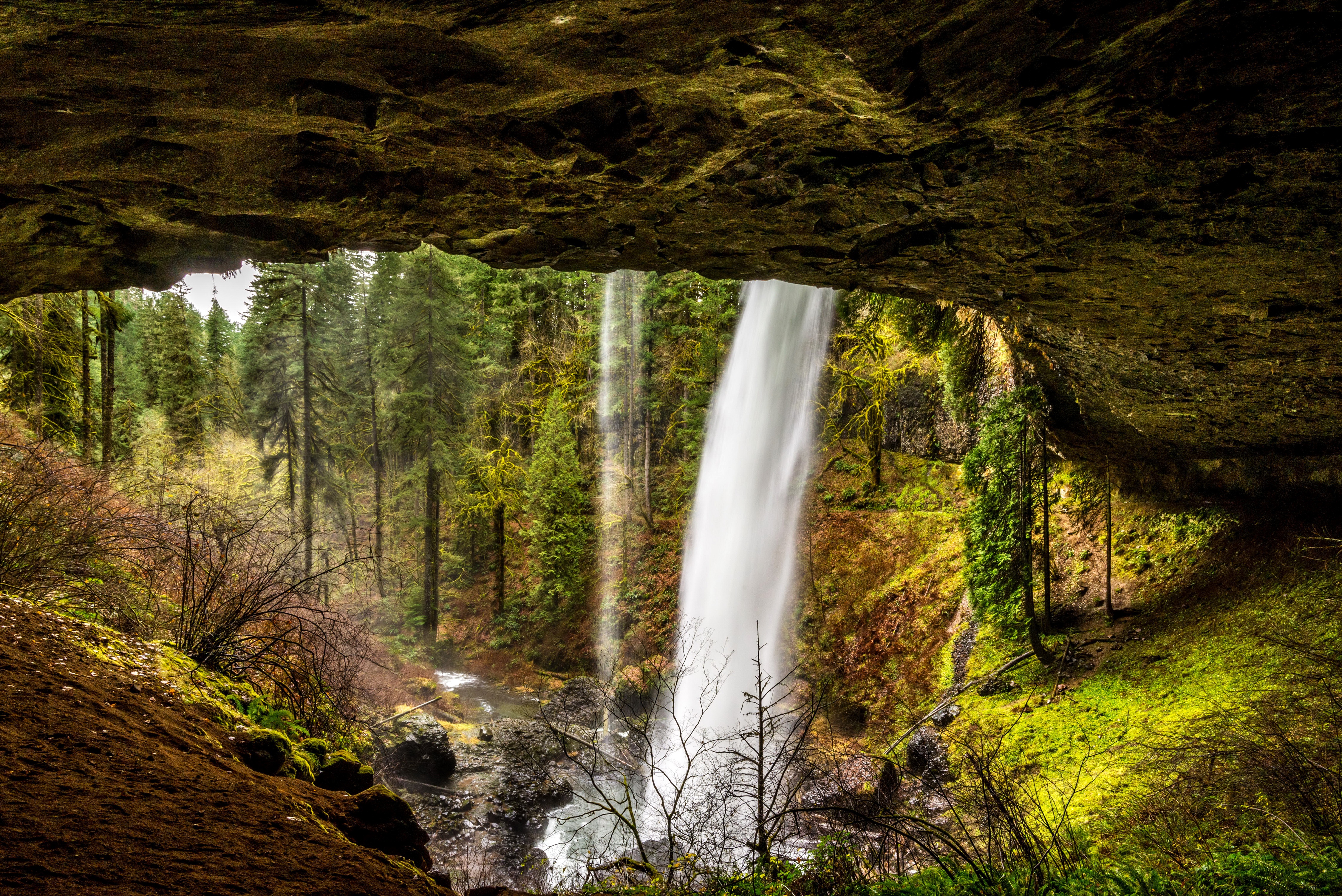 Download mobile wallpaper Waterfalls, Waterfall, Forest, Earth, Cave for free.