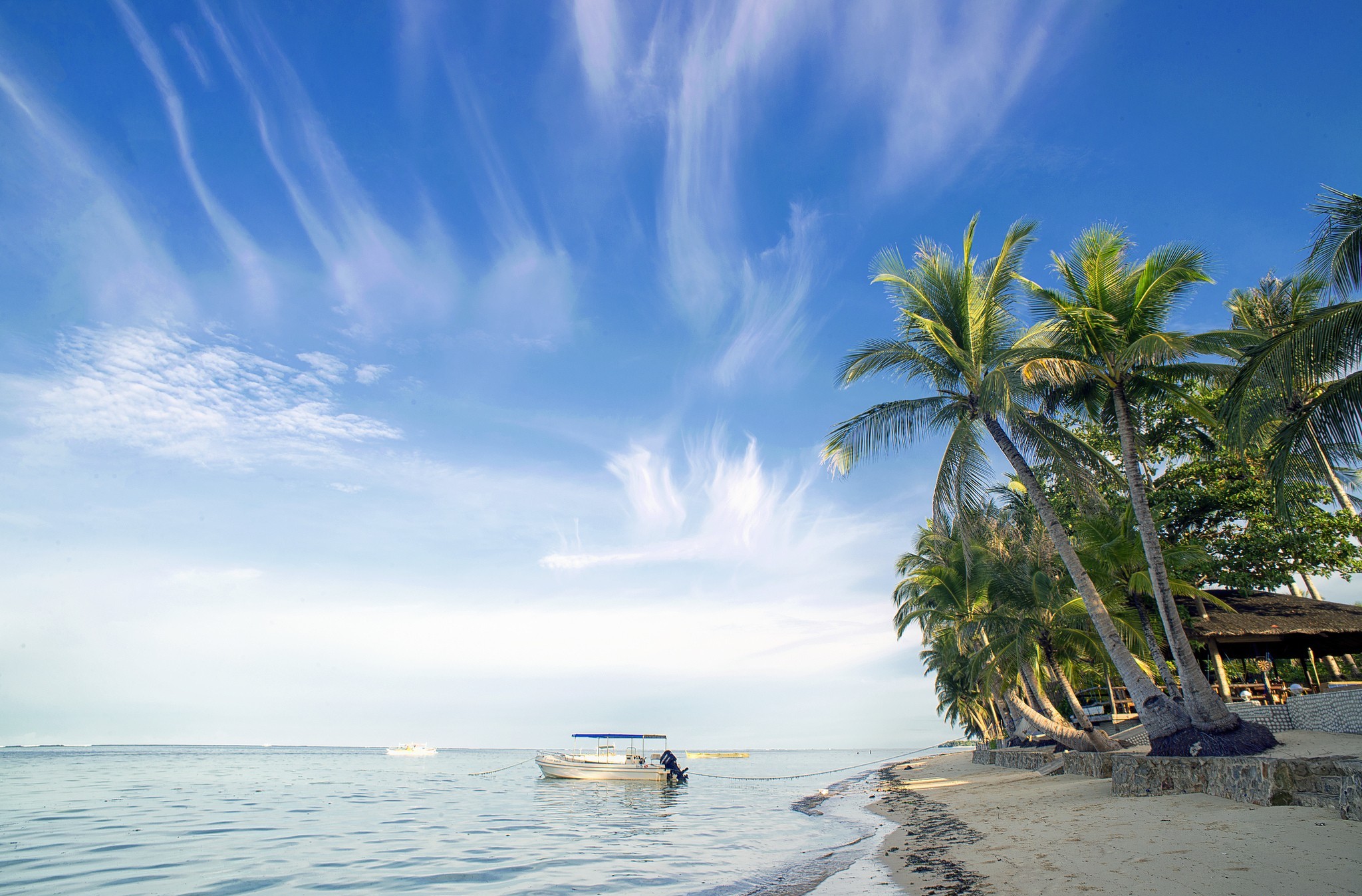 Free download wallpaper Beach, Tropics, Photography, Palm Tree on your PC desktop