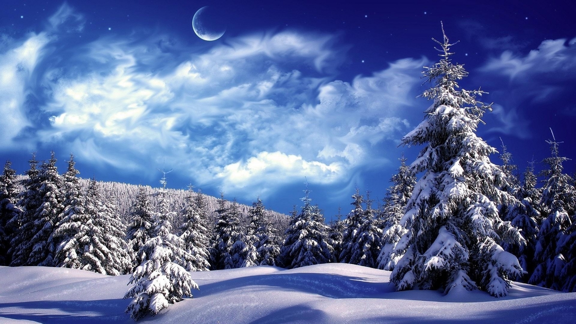 41262 Hintergrundbild herunterladen landschaft, winter, tannenbaum, blau - Bildschirmschoner und Bilder kostenlos