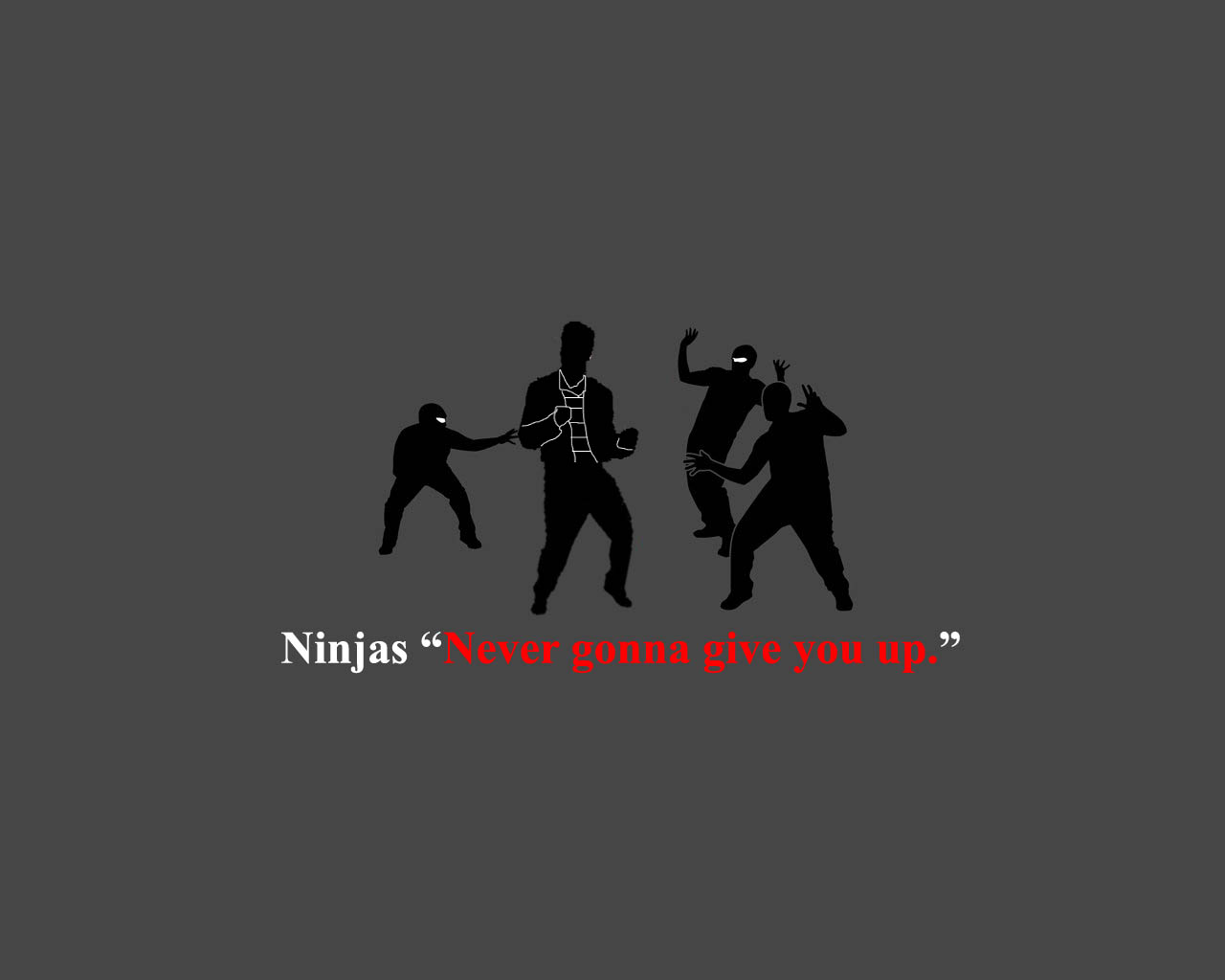 Téléchargez gratuitement l'image Humour, Ninja sur le bureau de votre PC