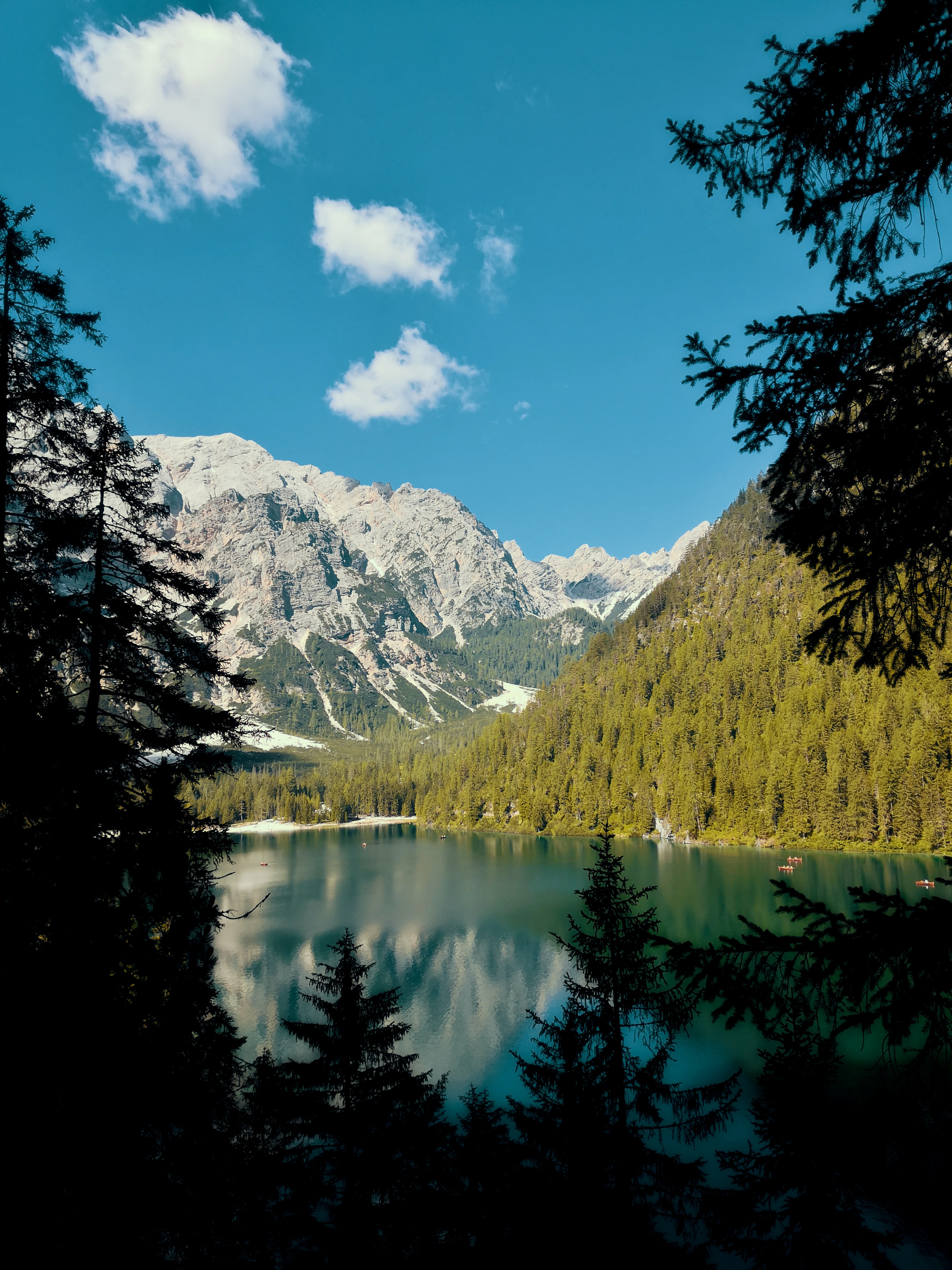 Laden Sie das Natur, Mountains, Geäst, Zweige, Fichte, Fir, See, Landschaft-Bild kostenlos auf Ihren PC-Desktop herunter