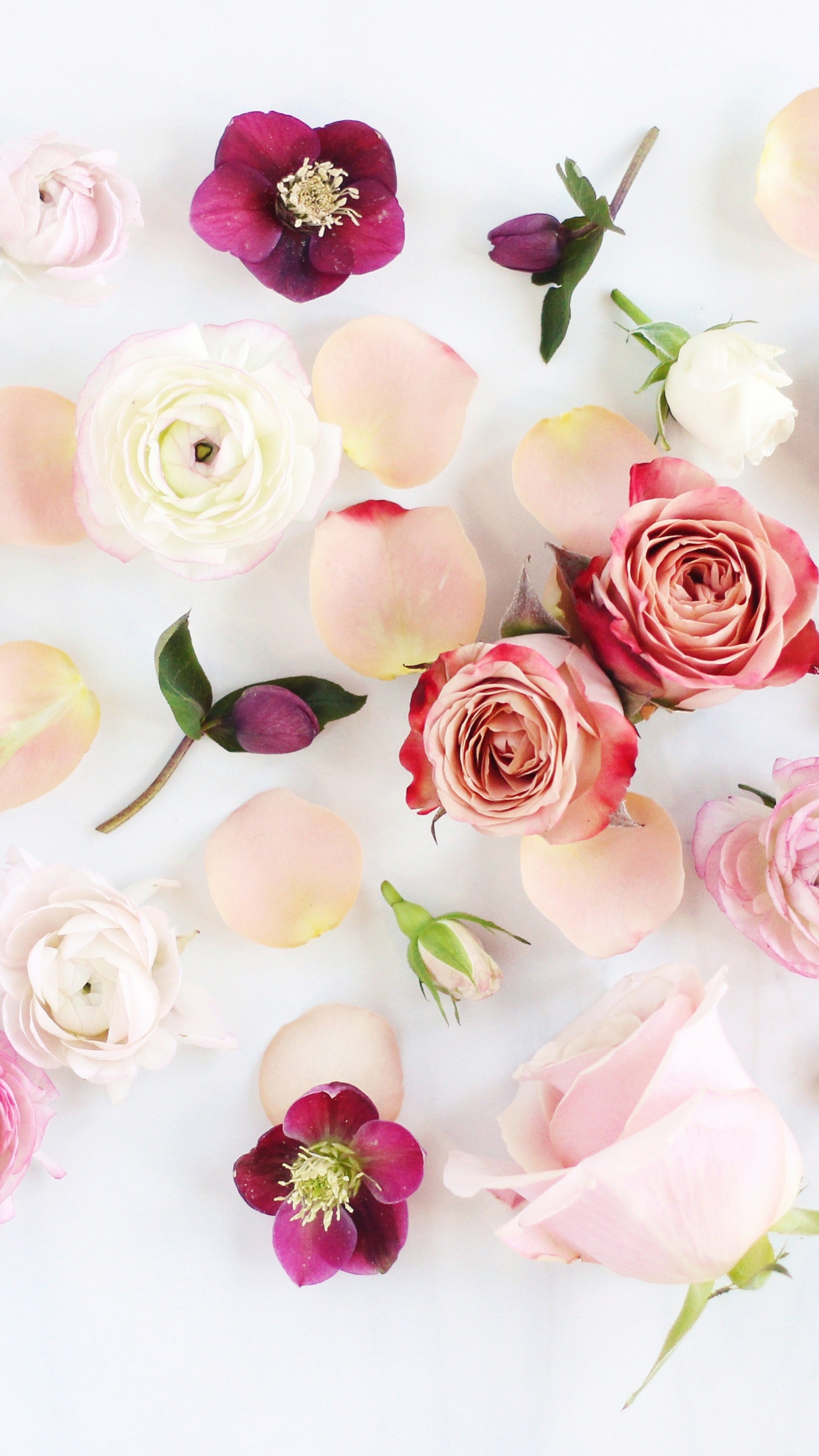 1179599 descargar fondo de pantalla artístico, flor, rosa, flor rosa, peonía, peonia, anémona, flor blanca, flores: protectores de pantalla e imágenes gratis