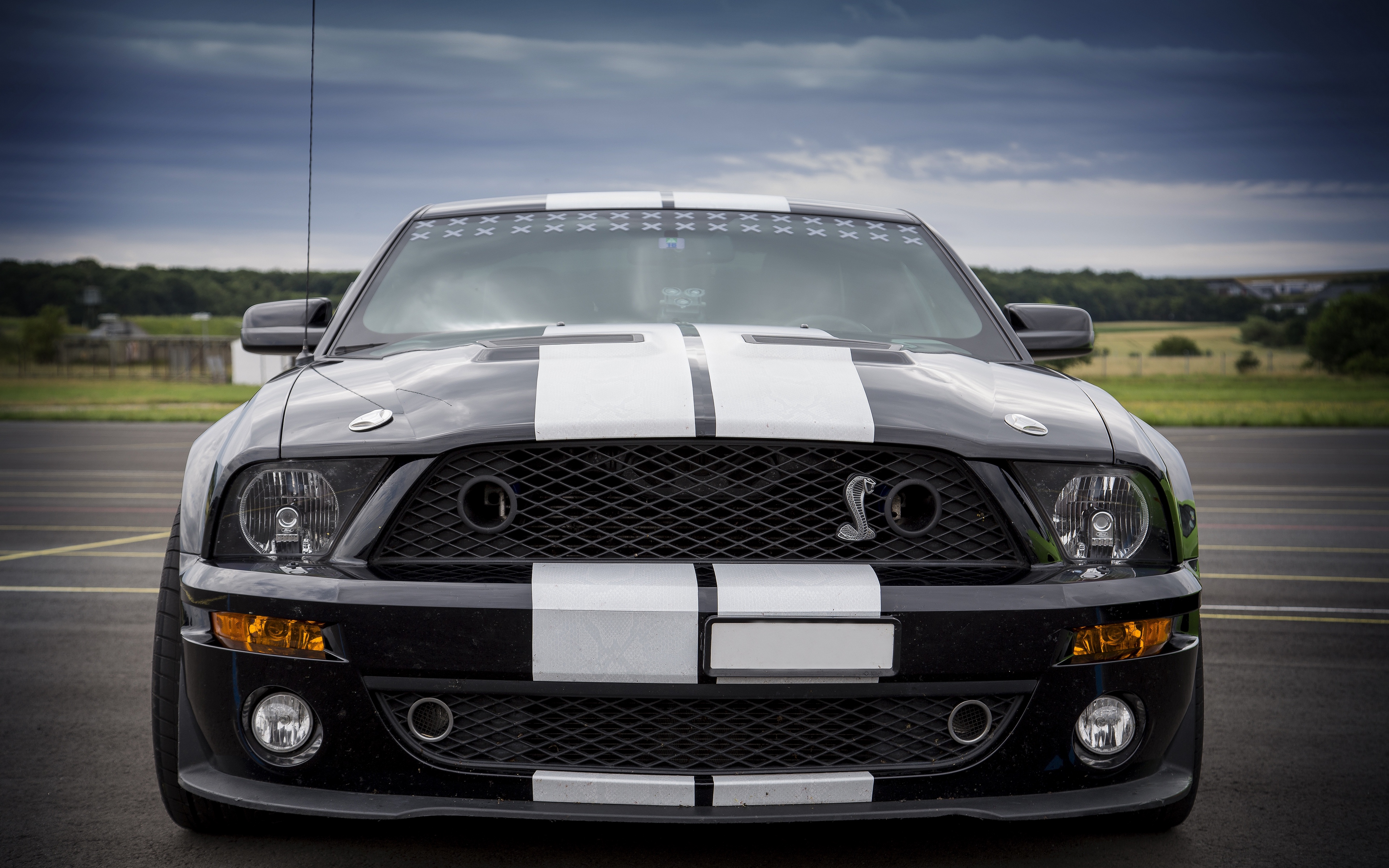 Free download wallpaper Ford, Vehicles, Ford Mustang Shelby on your PC desktop