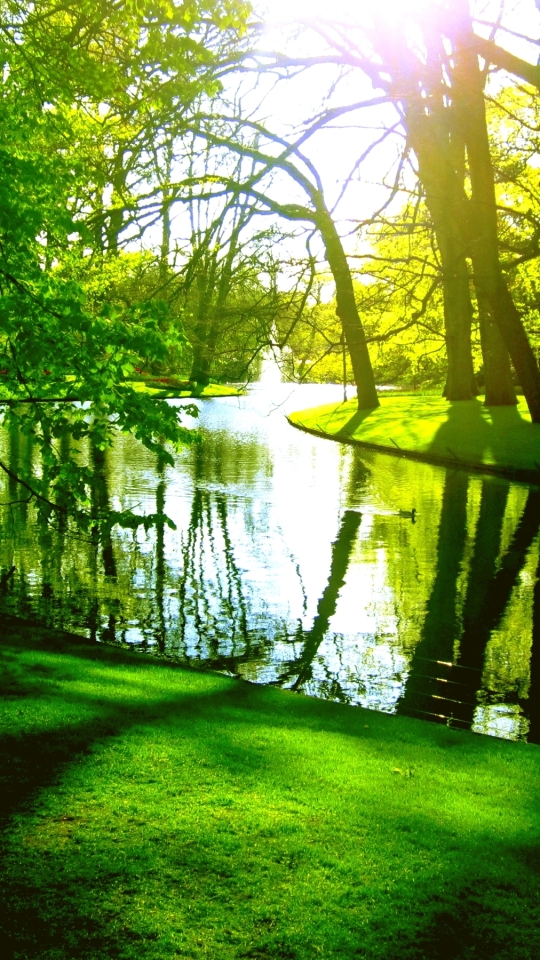 無料モバイル壁紙川, 木, 公園, 池, 春, 写真撮影をダウンロードします。